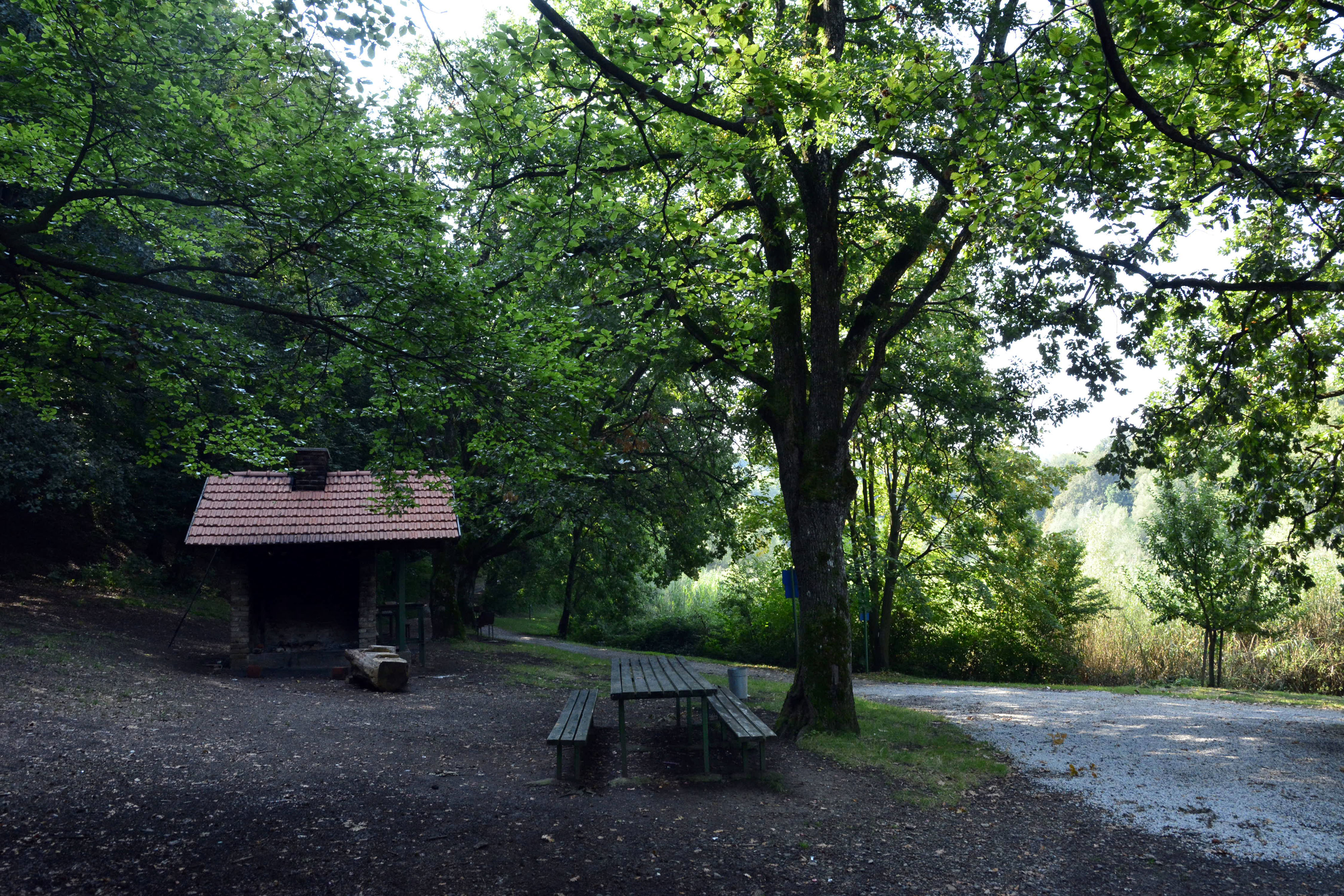 16.09.2016., Slavonski Brod, Sovsko jezero. Photo: Ivica Galovic/PIXSELL