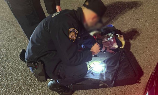 Draško Stanivuković﻿