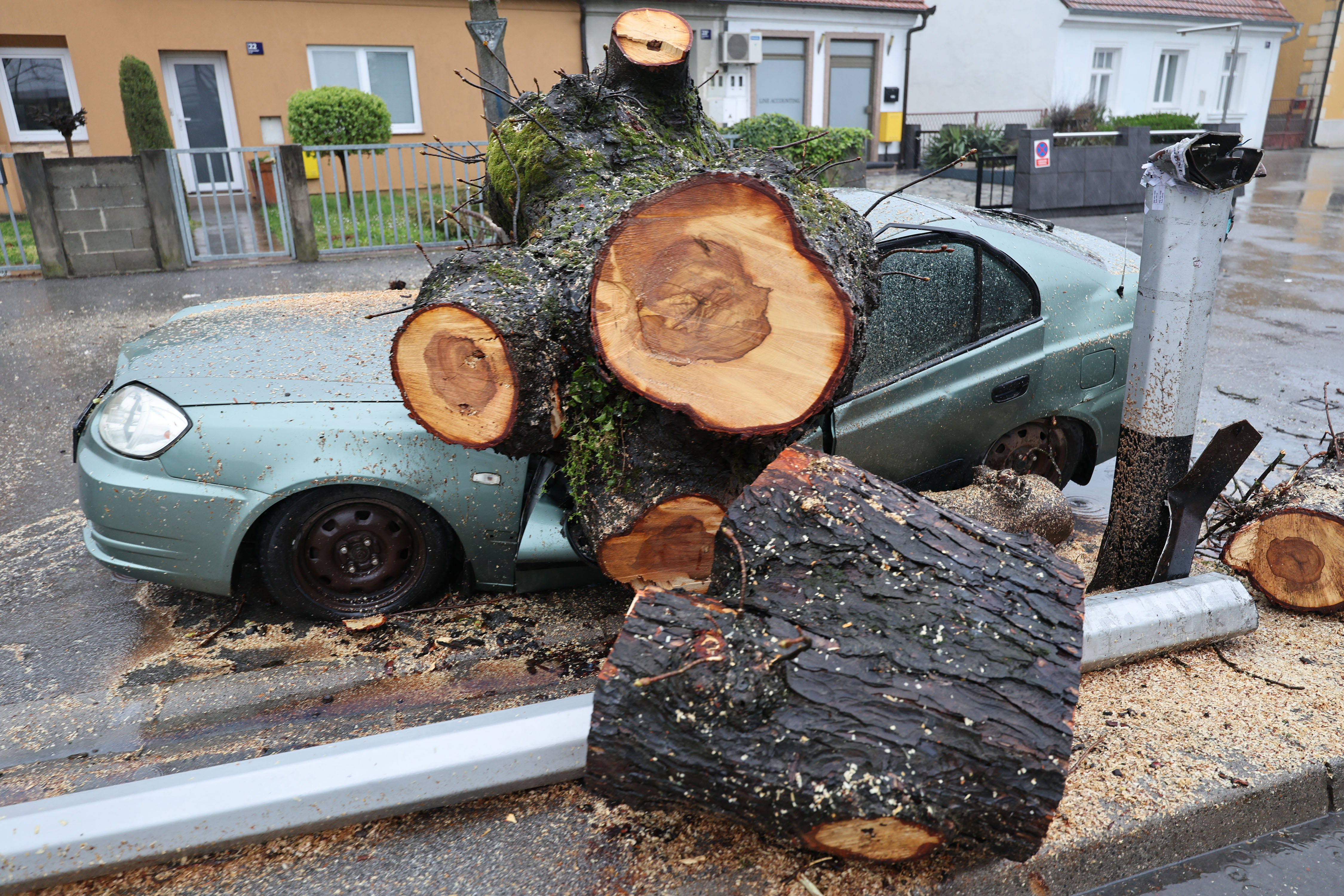 26.03.2026.Zagreb - Navrijeme i jak vjetar iscupali su stablo u Podsusedu Photo: Emica Elvedji/PIXSELL