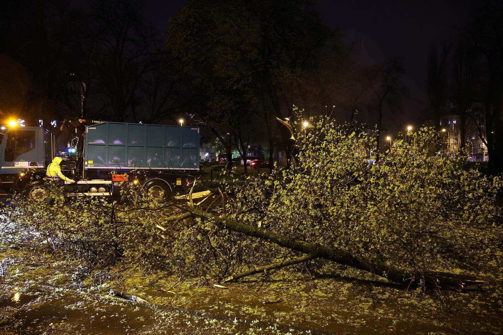 PXL_260326_149097410