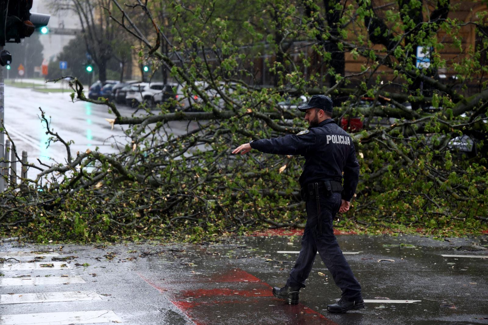 PXL_260326_149080755