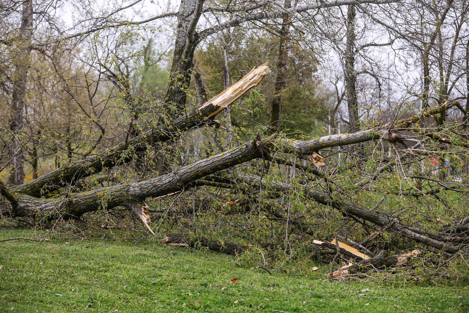 PXL_270326_149130661