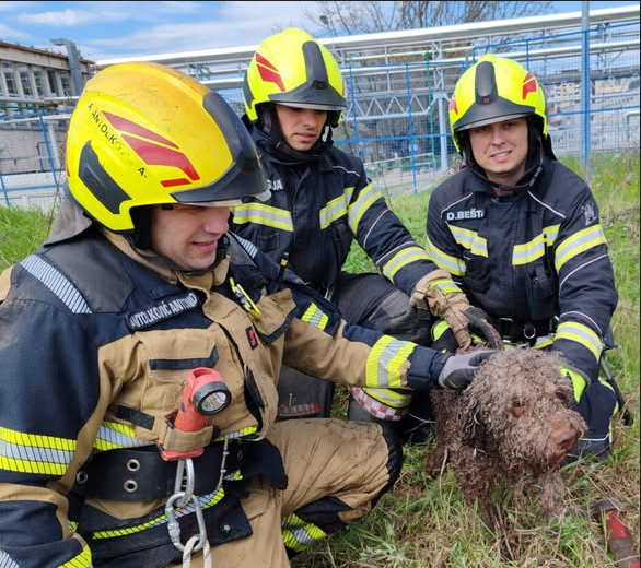 Vatrogasna postrojba Zagreb