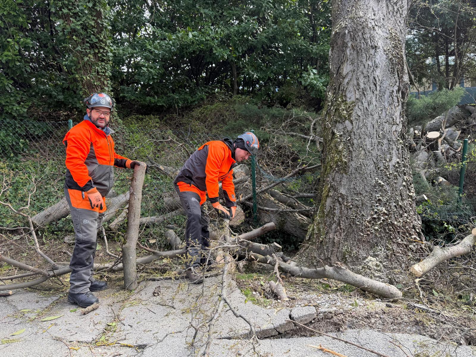 Zagreb sanacija GRAD ZAGREB