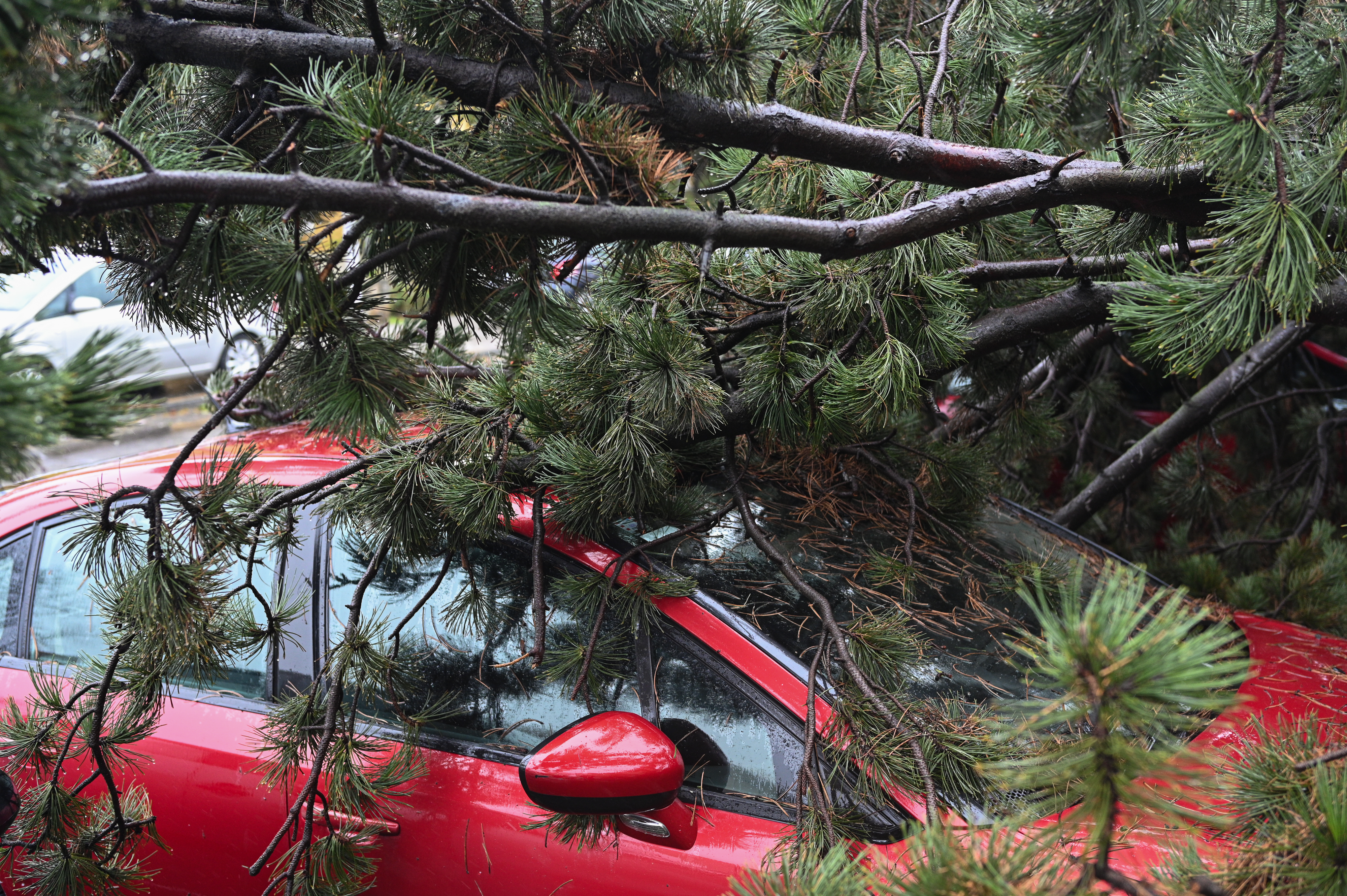 PXL_270326_149123884