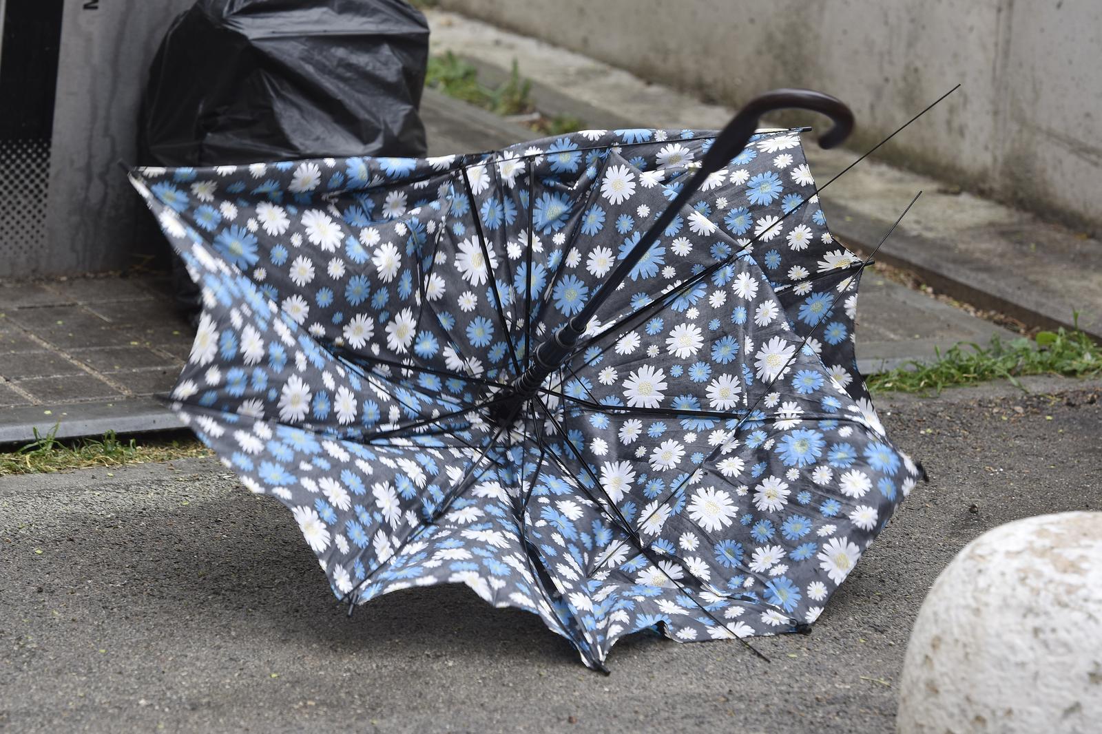 PXL_260326_149070487