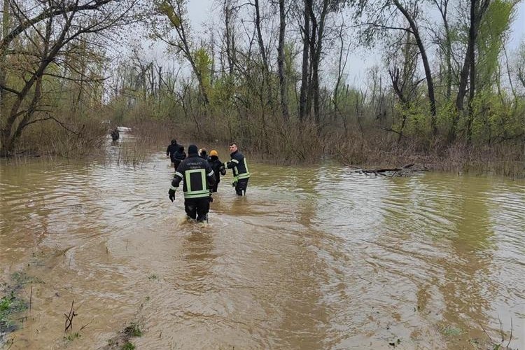 Spašavanje osoba iz Save