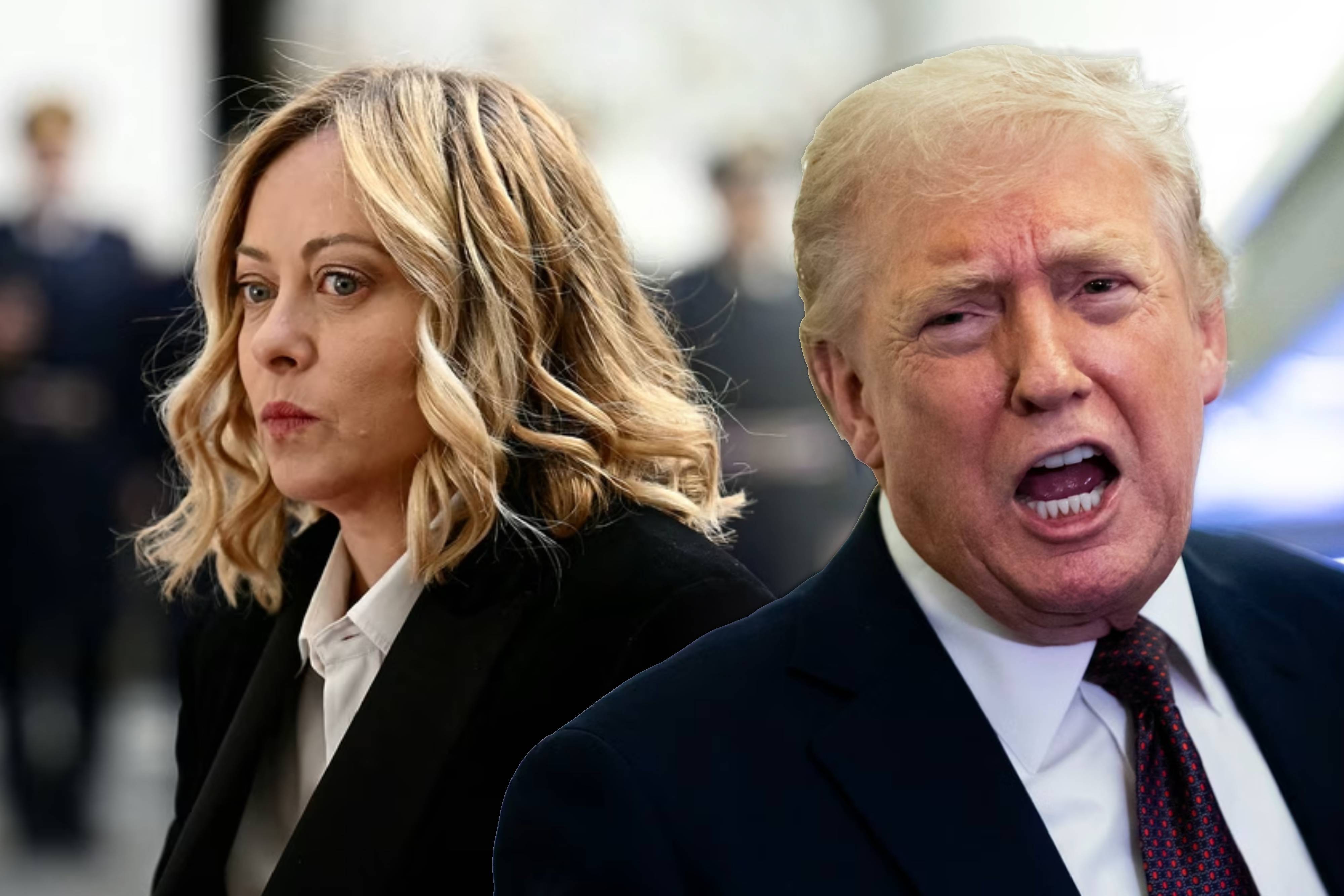 meloni trump
