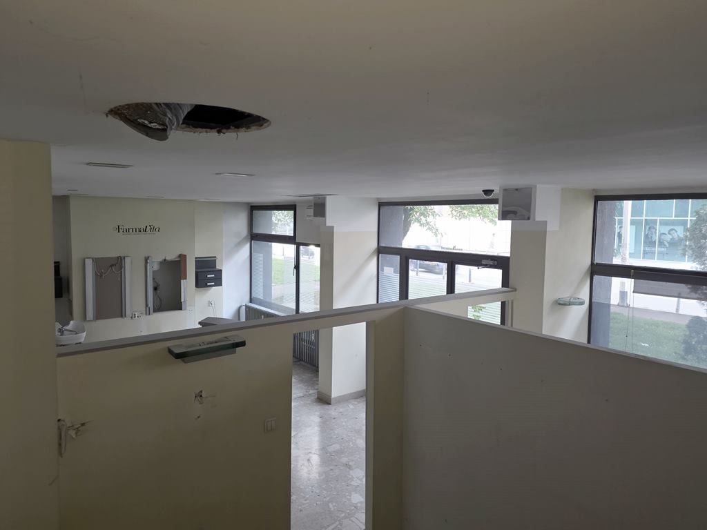 PP2013_Sortina 1C ZG.jpg