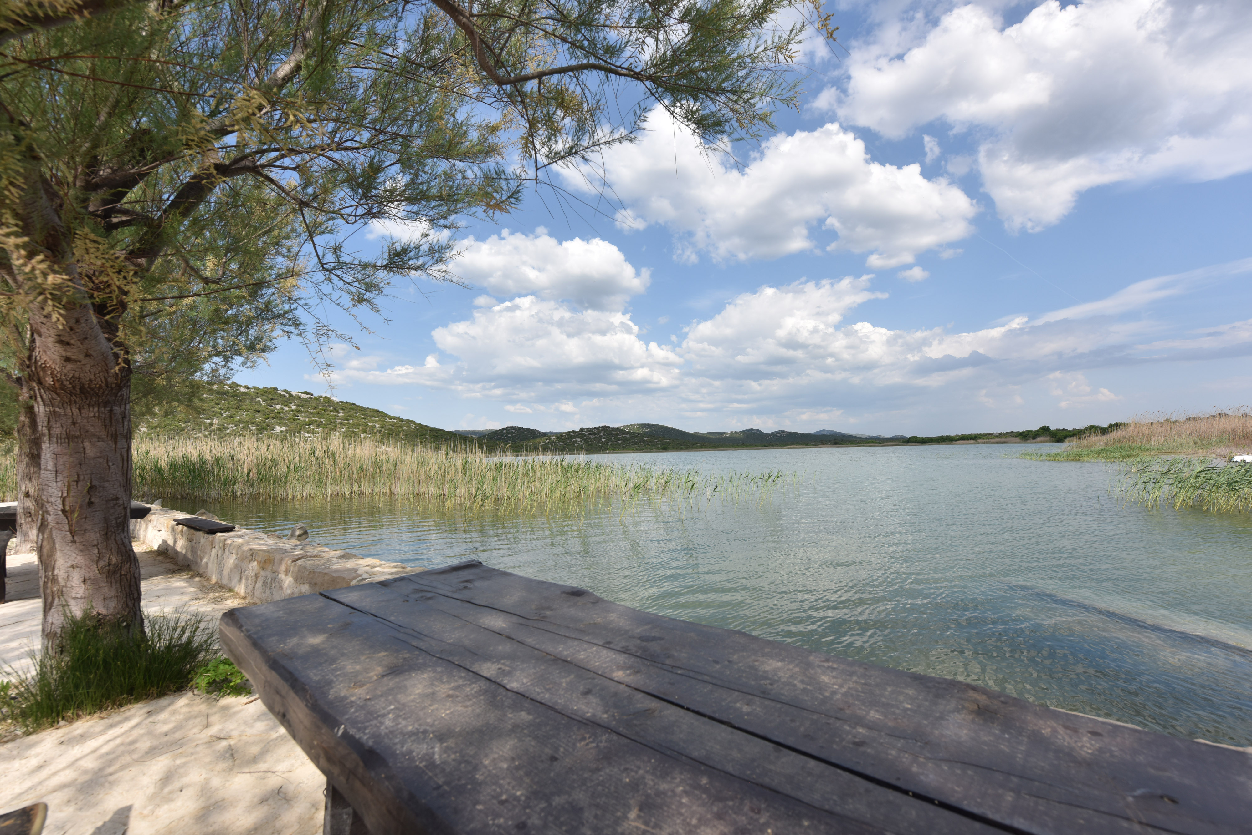 07.05.2018., Prosika - Proljetna idila u parku prirode Vransko Jezero - ribarska lucica. Photo: Hrvoje Jelavic/PIXSELL