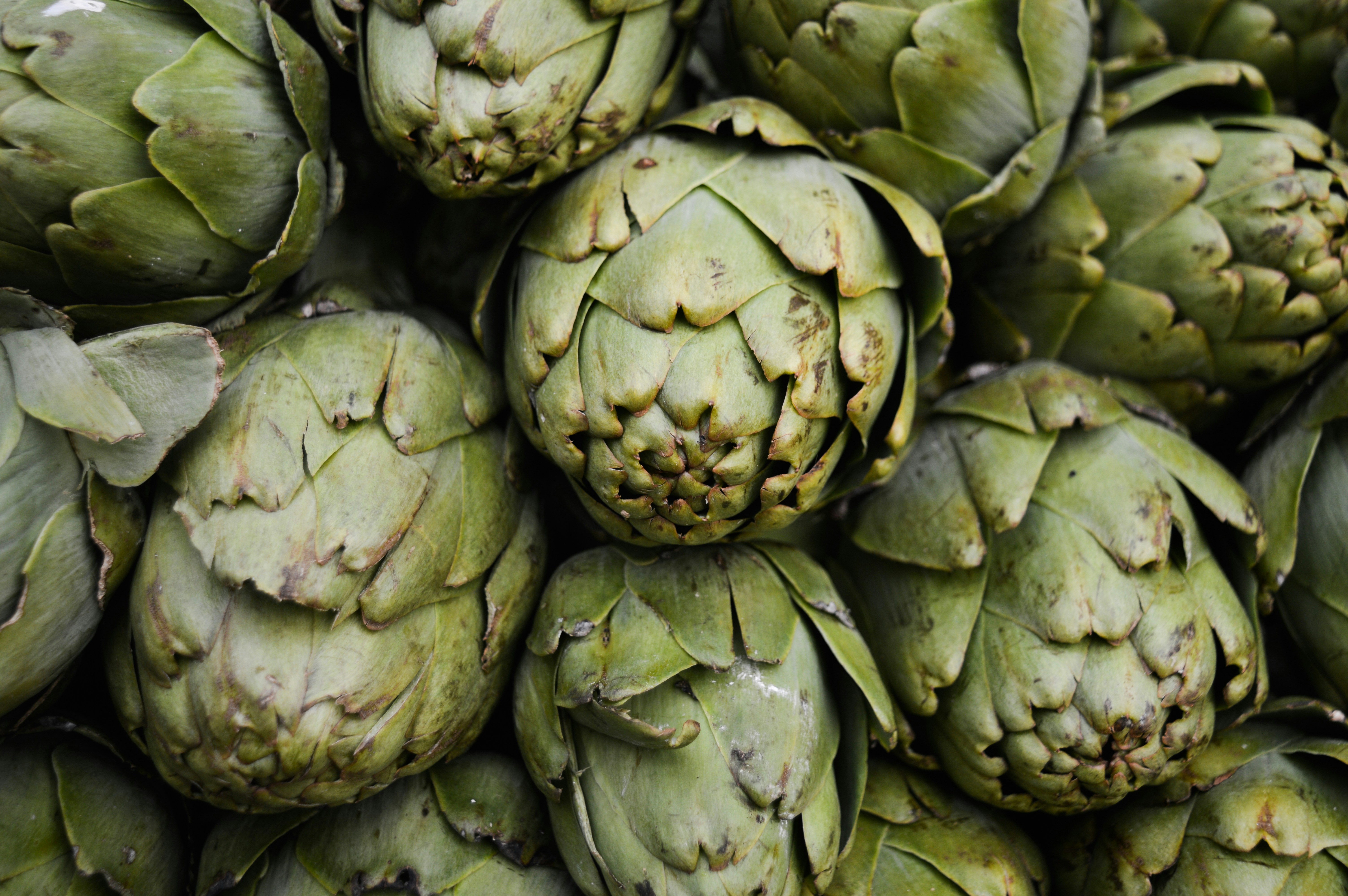 Artičoke UNSPLASH