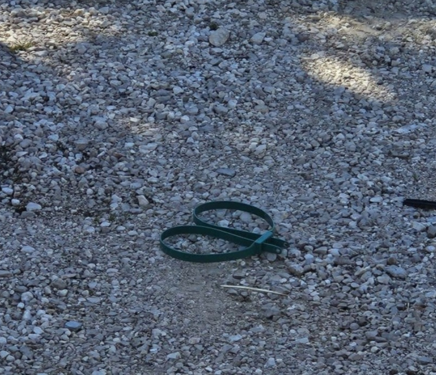 Đurđica Čavka / Dalmacija danas