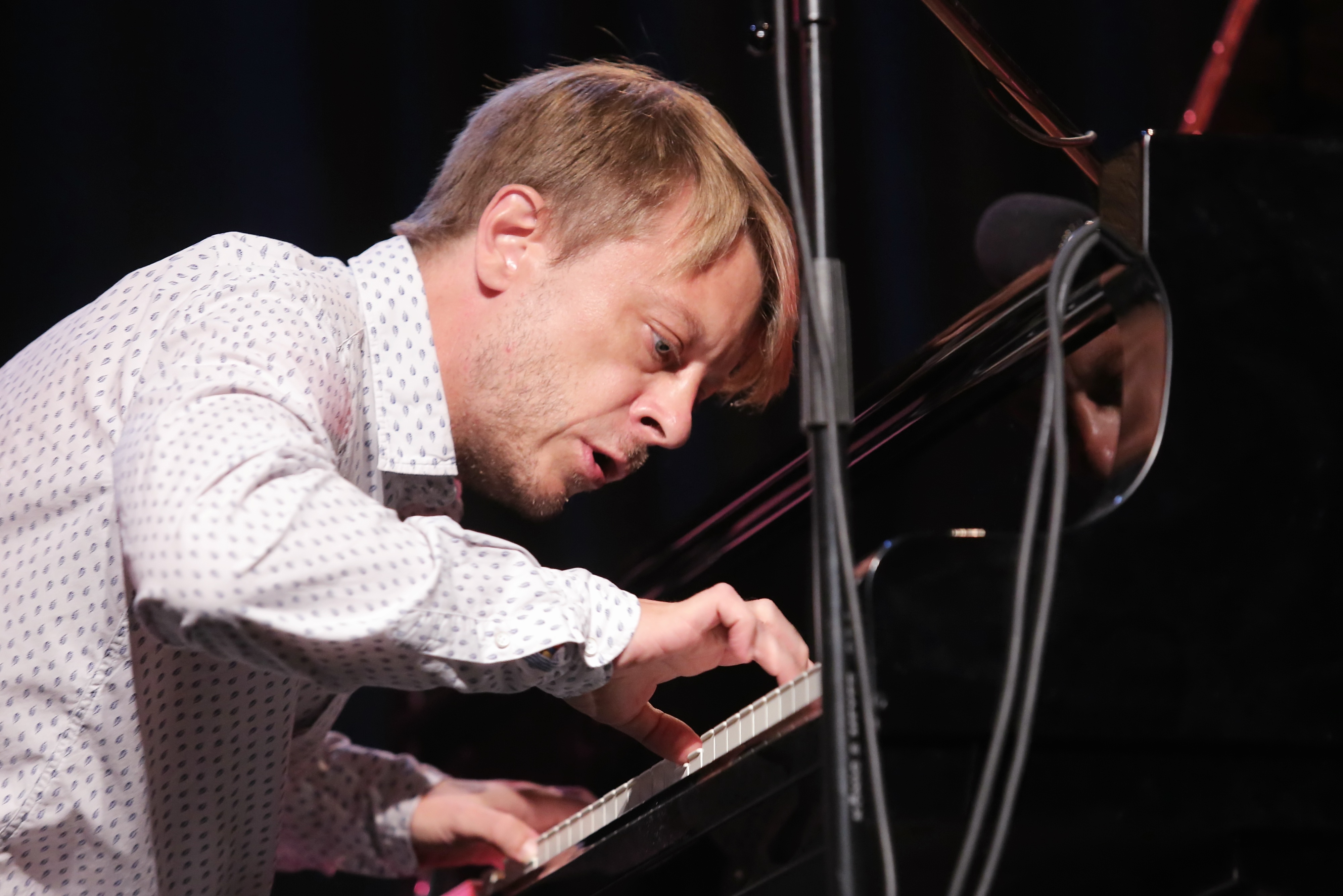 Matija Dedić