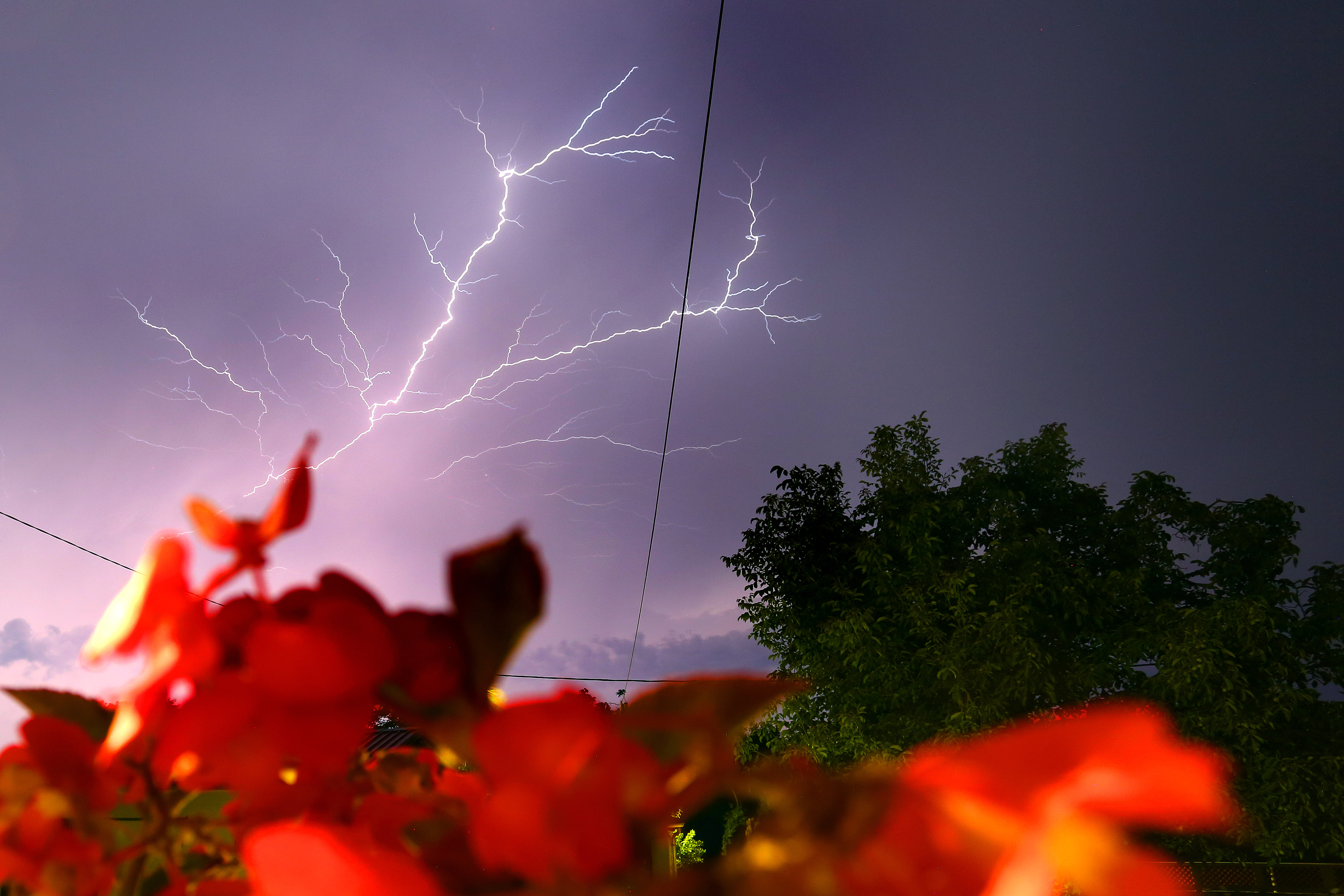 Munja parale nebo iznad Istre 22.07.2018., Festini - U noci sa subote na nedjelju, istru je pogodilo jako grmljavinsko nevrijeme.r"nPhoto: Borna Filic/PIXSELL