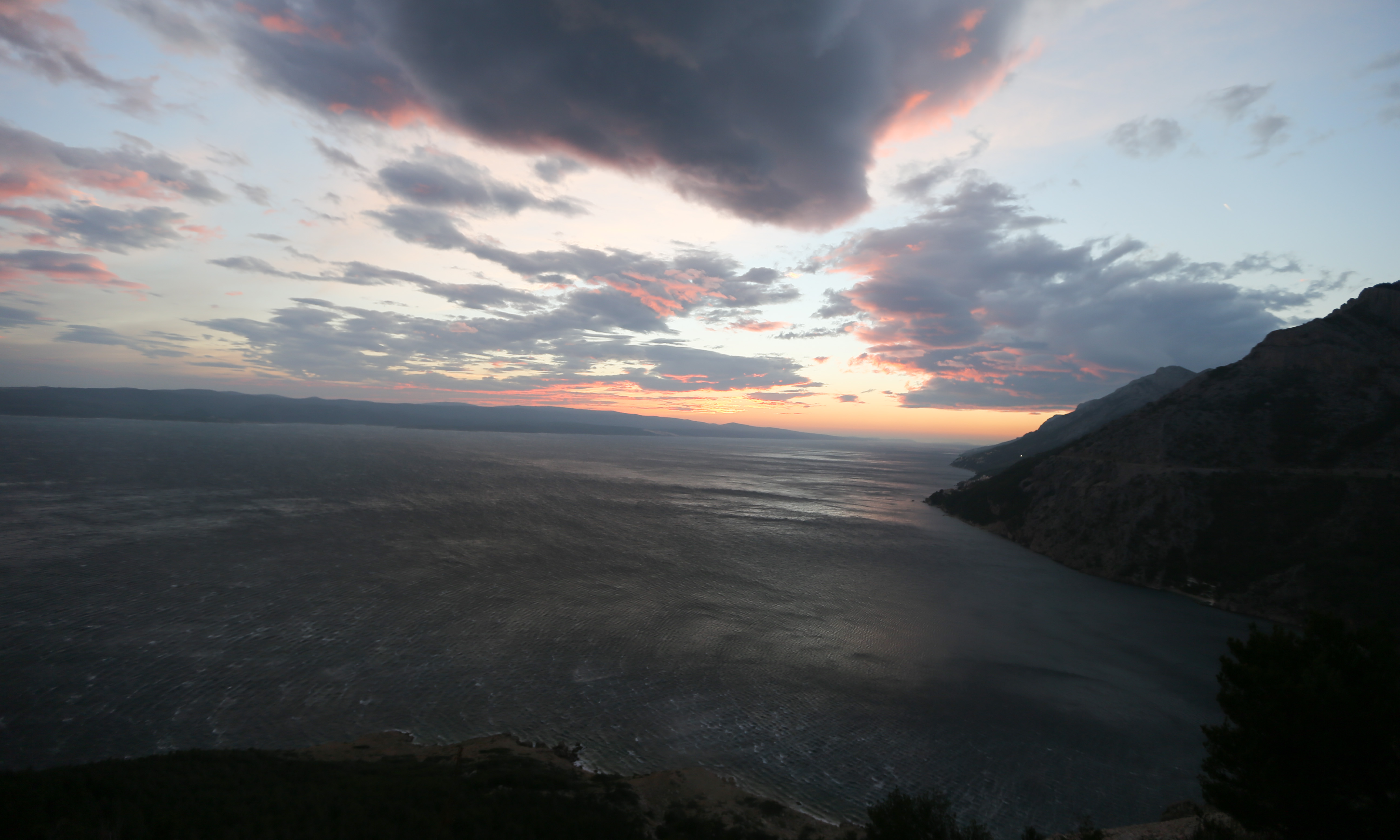 Vrulja