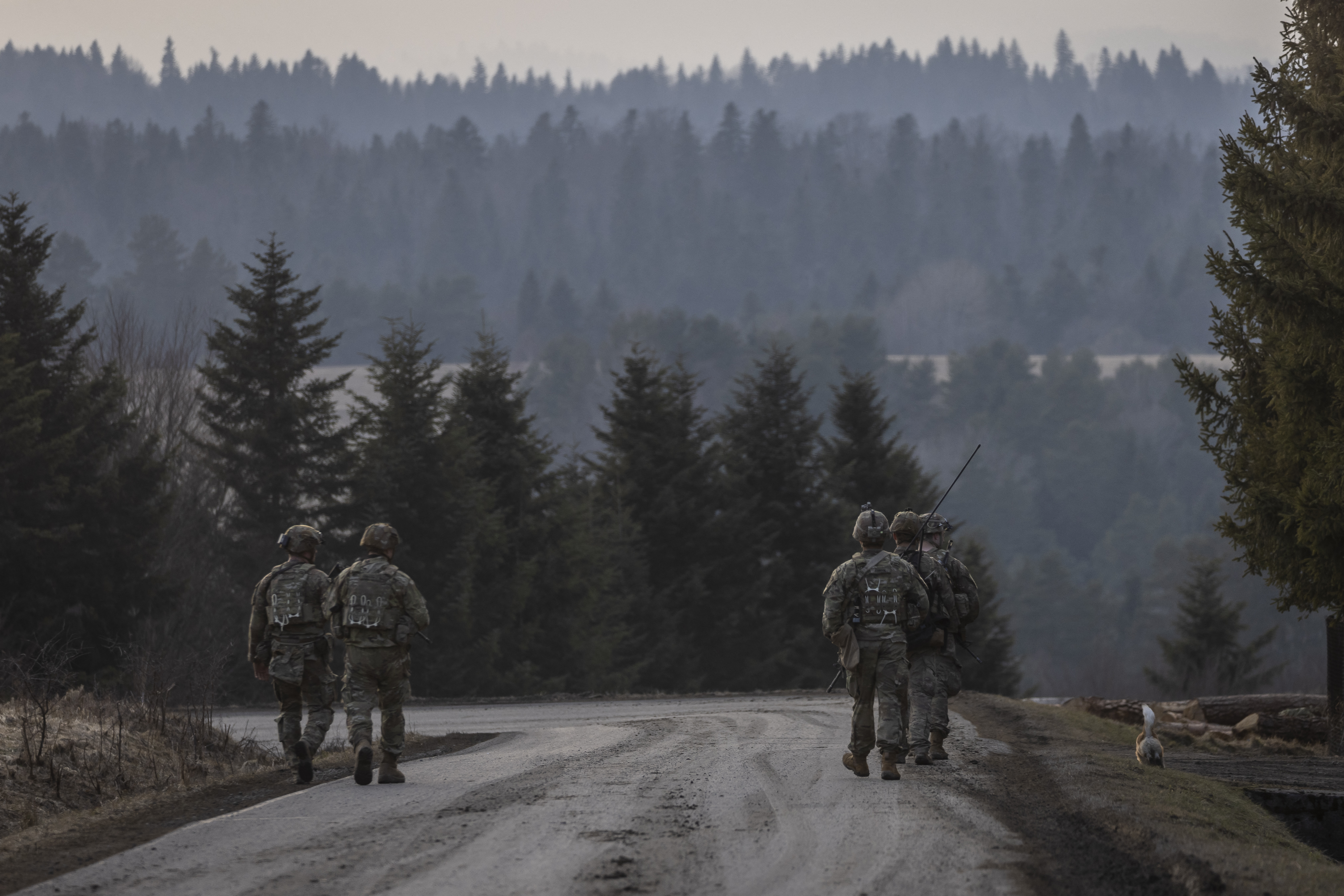 US soldiers are seen near a military camp in Arlamow, southeastern Poland. (Photo by Wojtek RADWANSKI / AFP)