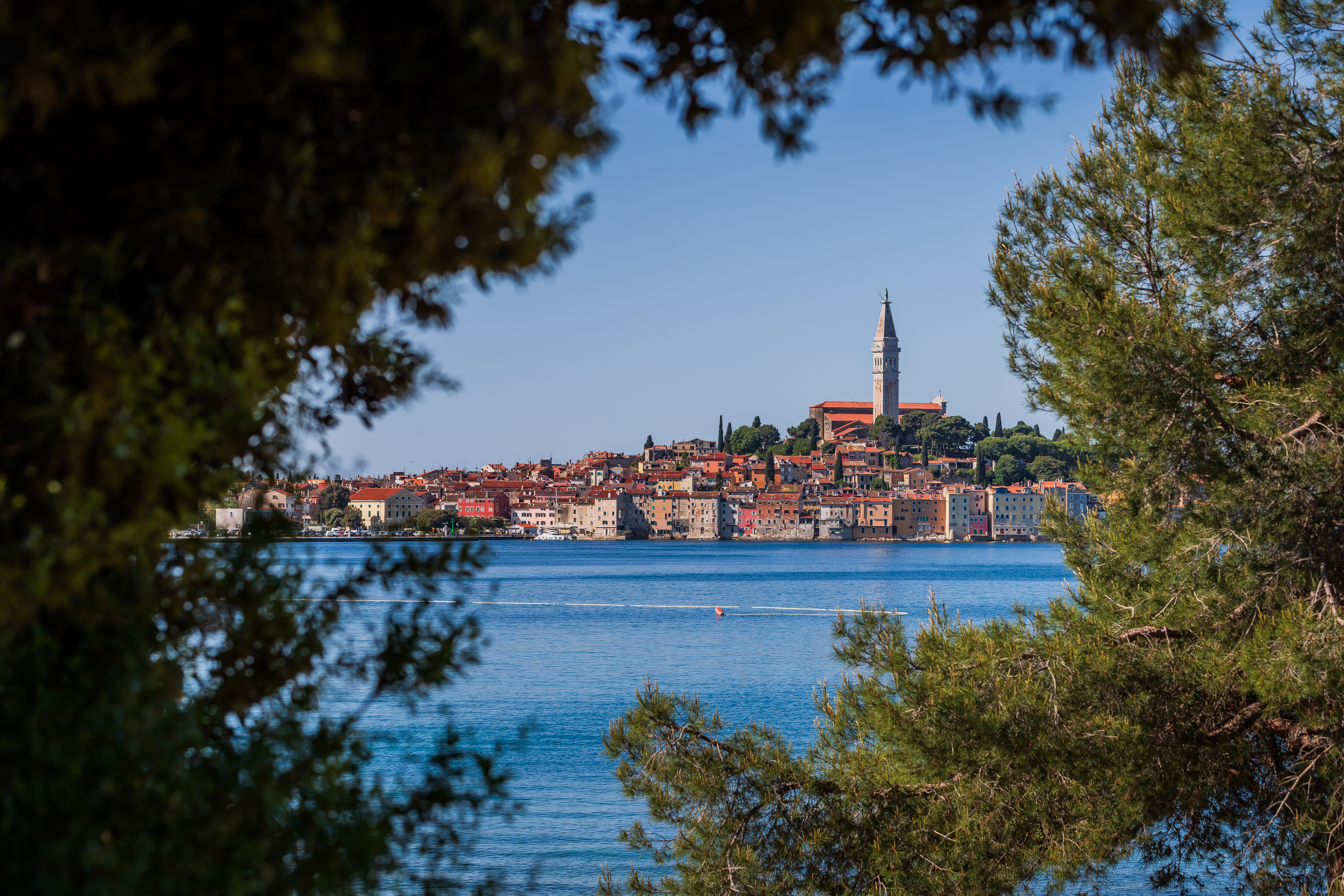 16.05.2025., Rovinj - Suncano jutro u Rovinju. Photo: Zvonimir Barisin/PIXSELL