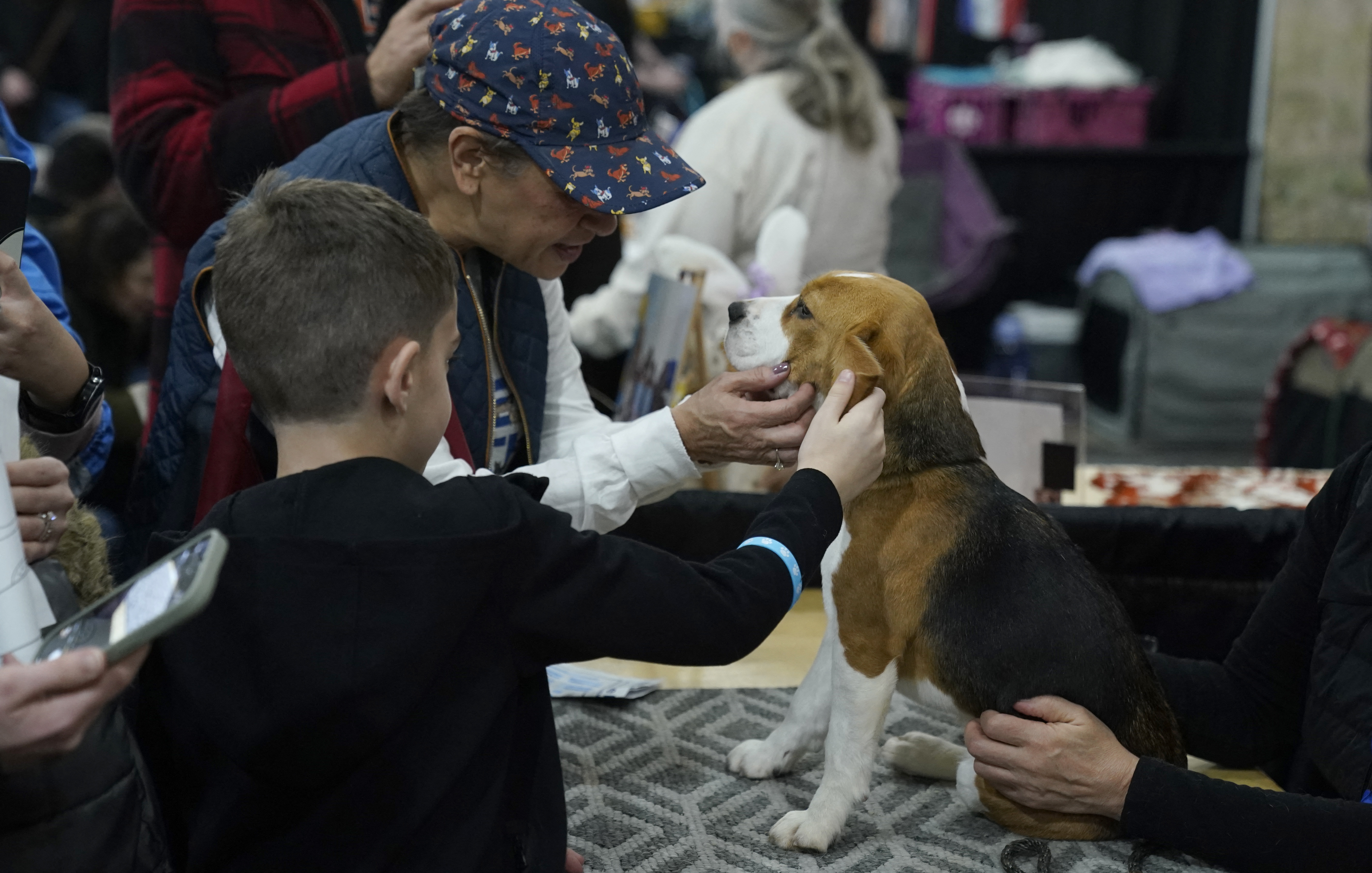 People pet a Beagle at the American Kennel Club's annual "Meet the Breeds" event at the Jacob K. Javits Convention Center in New York City on January 25, 2025.