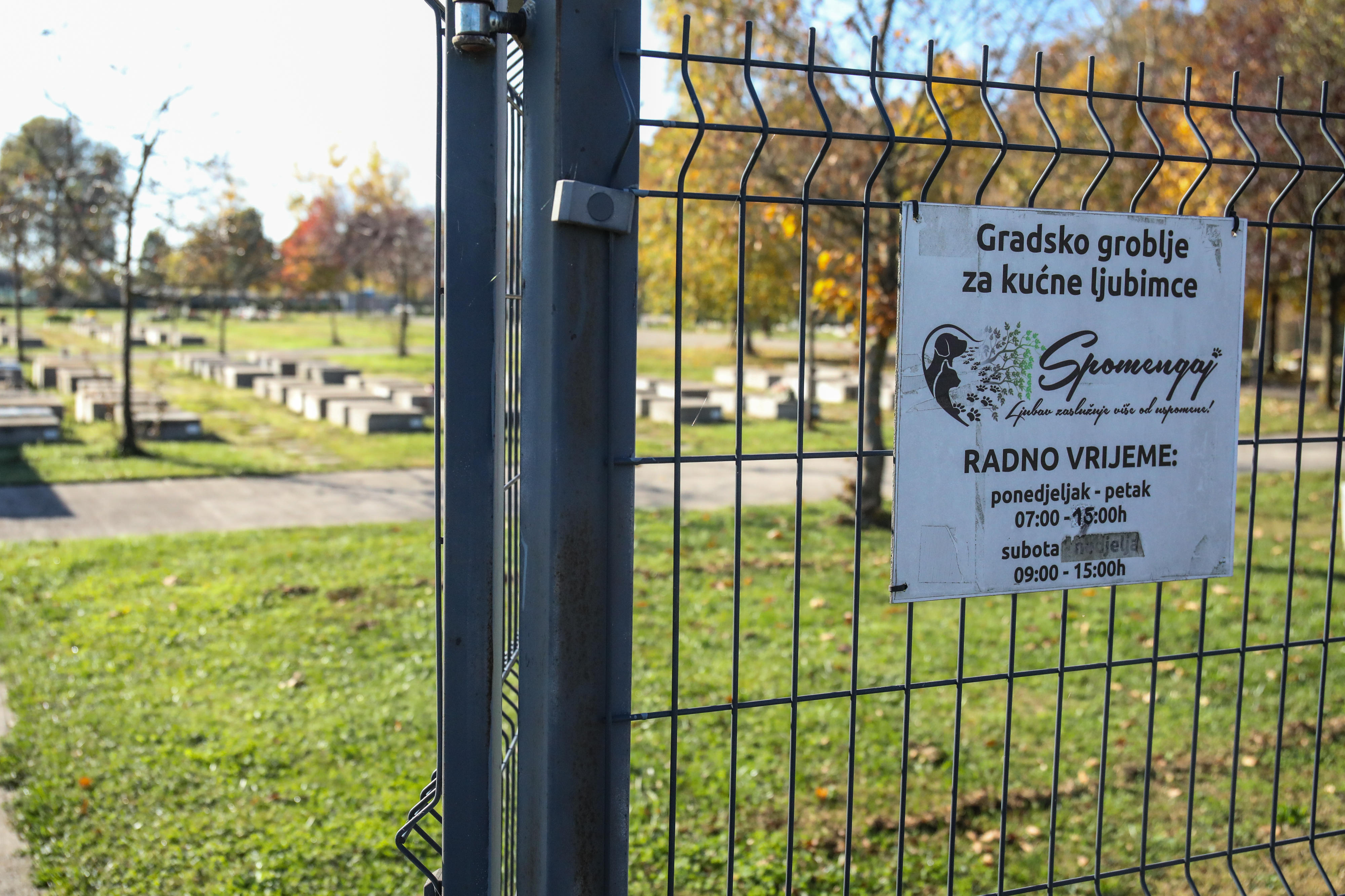 01.11.2025., Zagreb, Blagdan Svih svetih na groblju kucnih ljubimaca Spomengaj u Dumovcu. Jedan macak uporno je obilazio sve grobove Photo: Emica Elvedji/PIXSELL