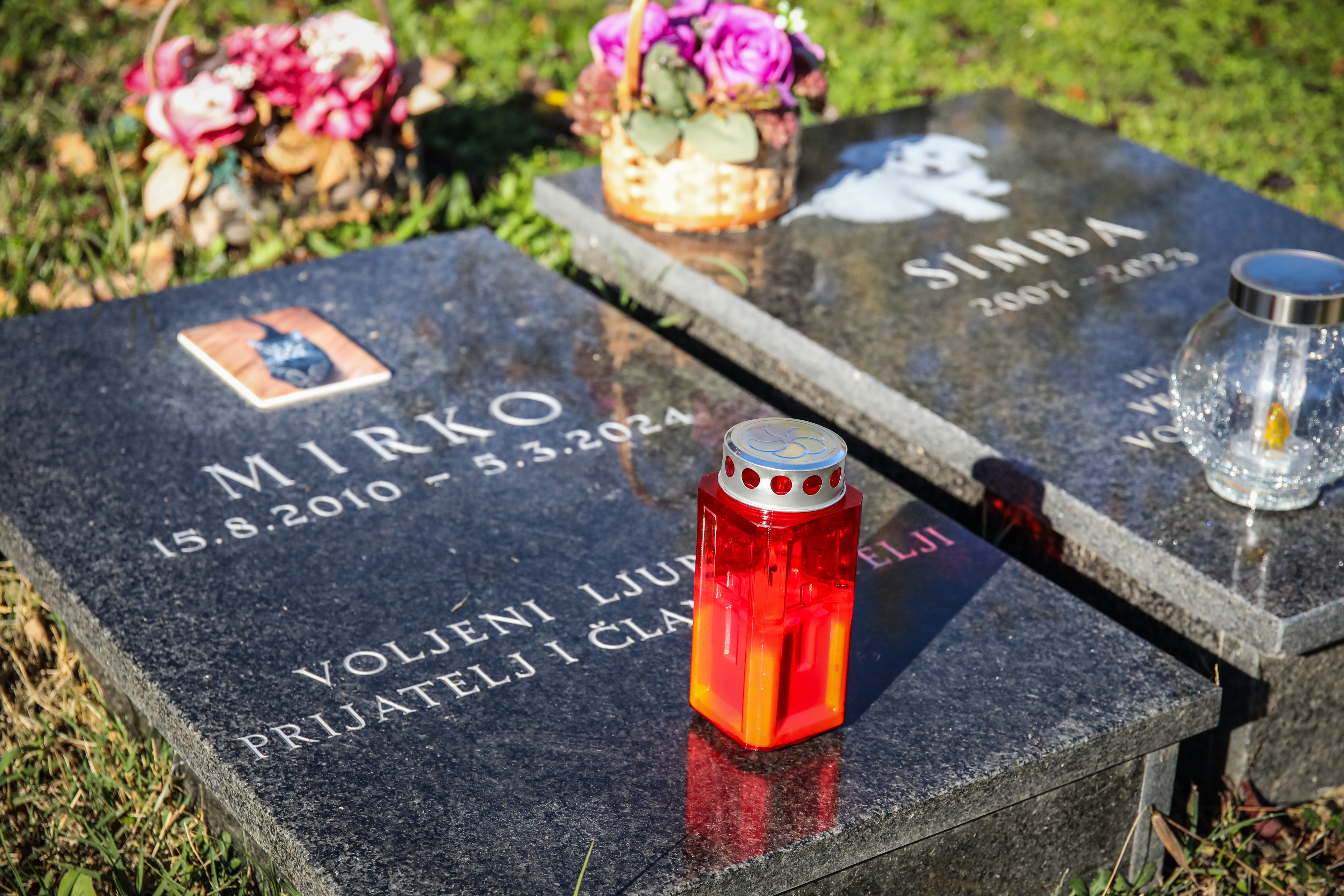 01.11.2025., Zagreb, Blagdan Svih svetih na groblju kucnih ljubimaca Spomengaj u Dumovcu. Jedan macak uporno je obilazio sve grobove Photo: Emica Elvedji/PIXSELL