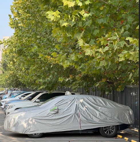 auto