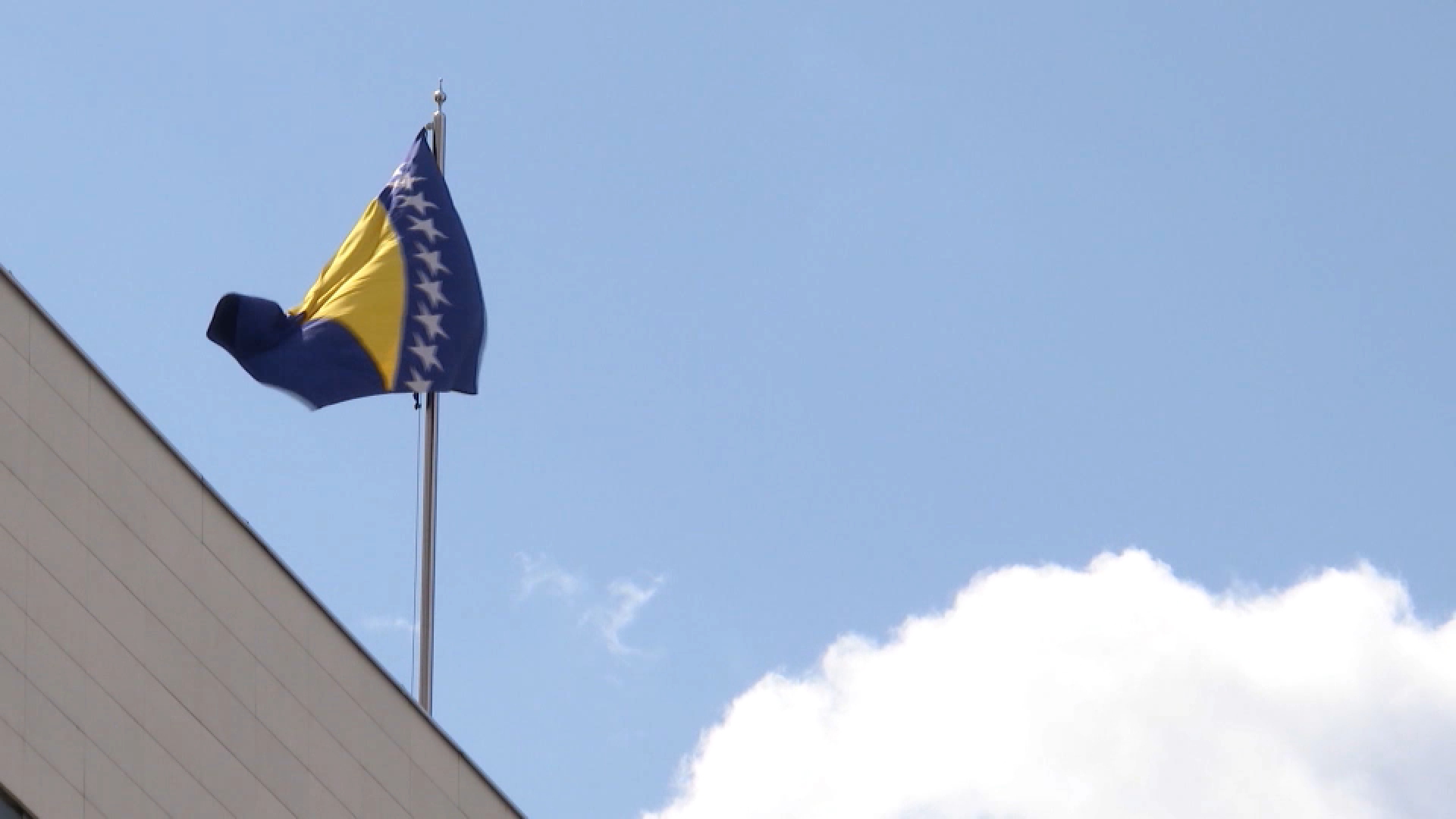 BIH zastava