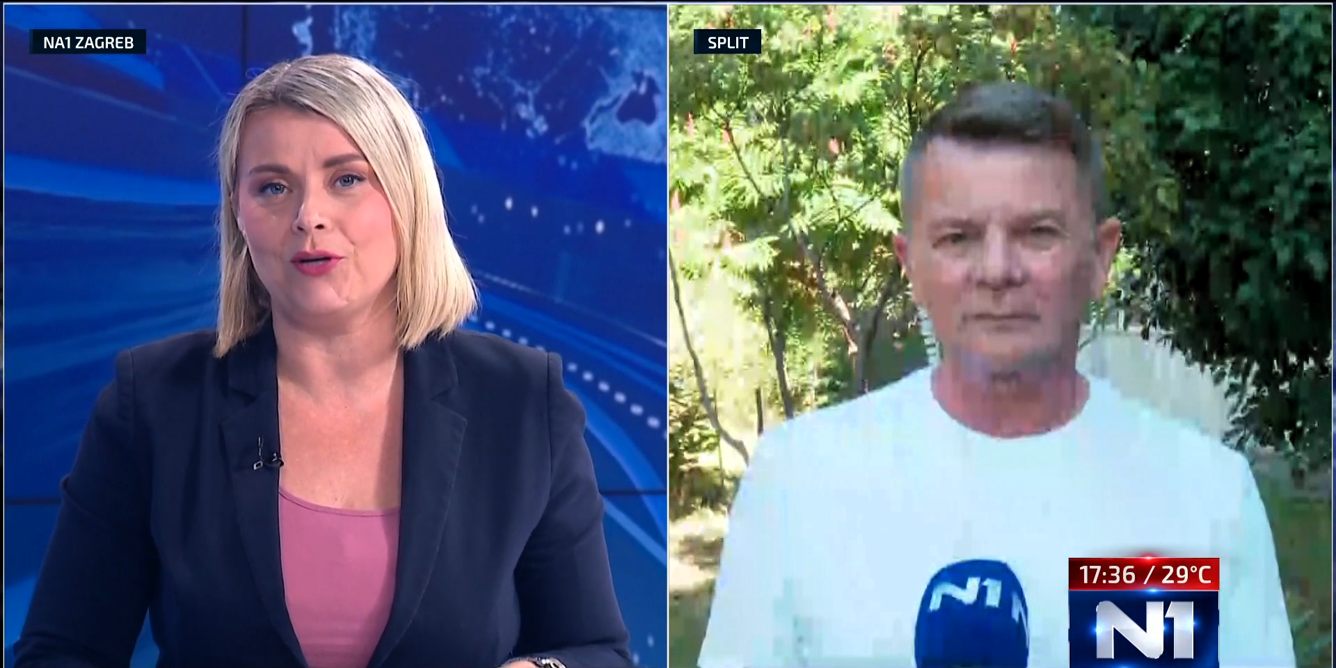 n1 ante miše