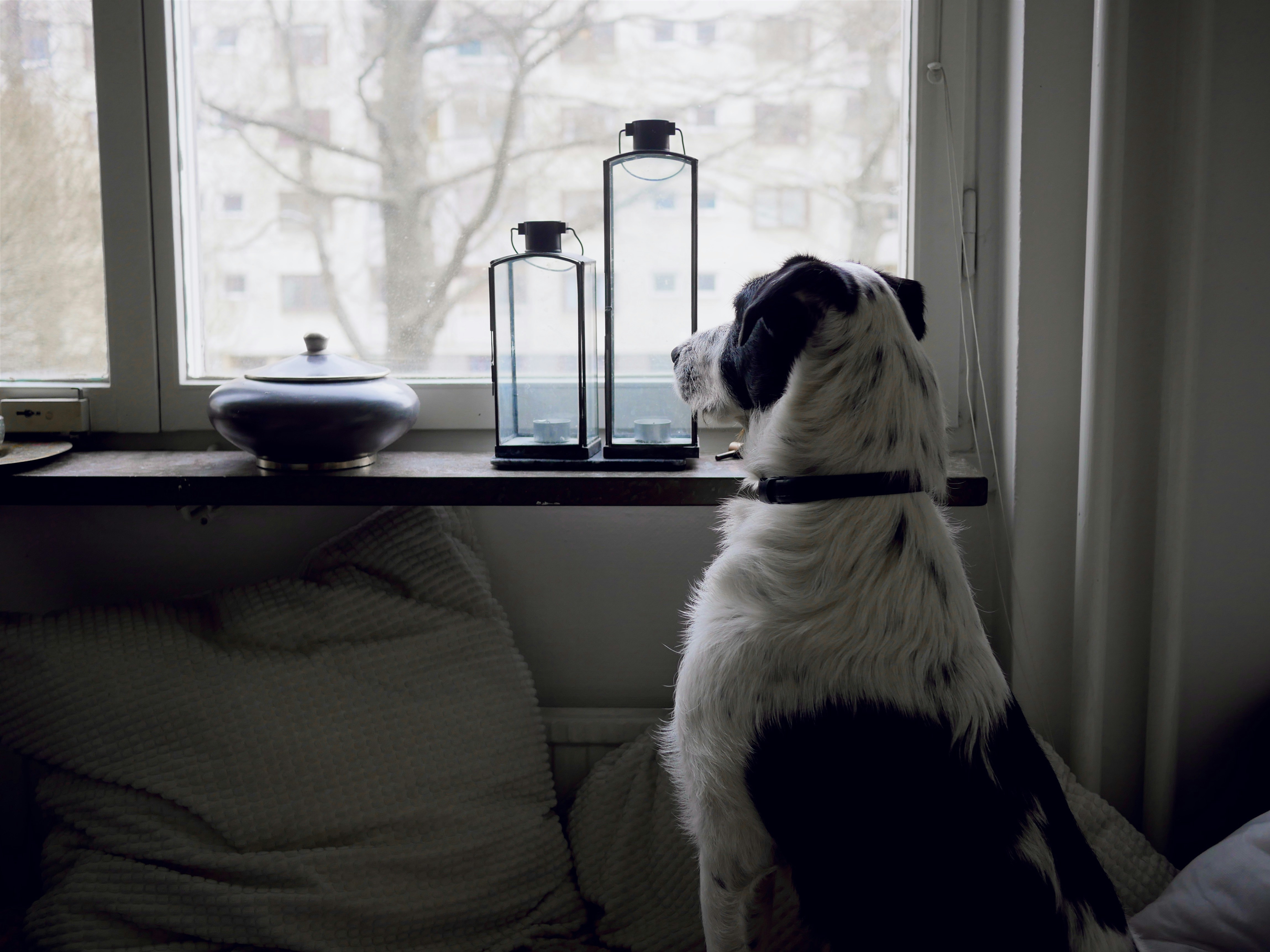 per-loov-4e10Camdm-0-unsplash