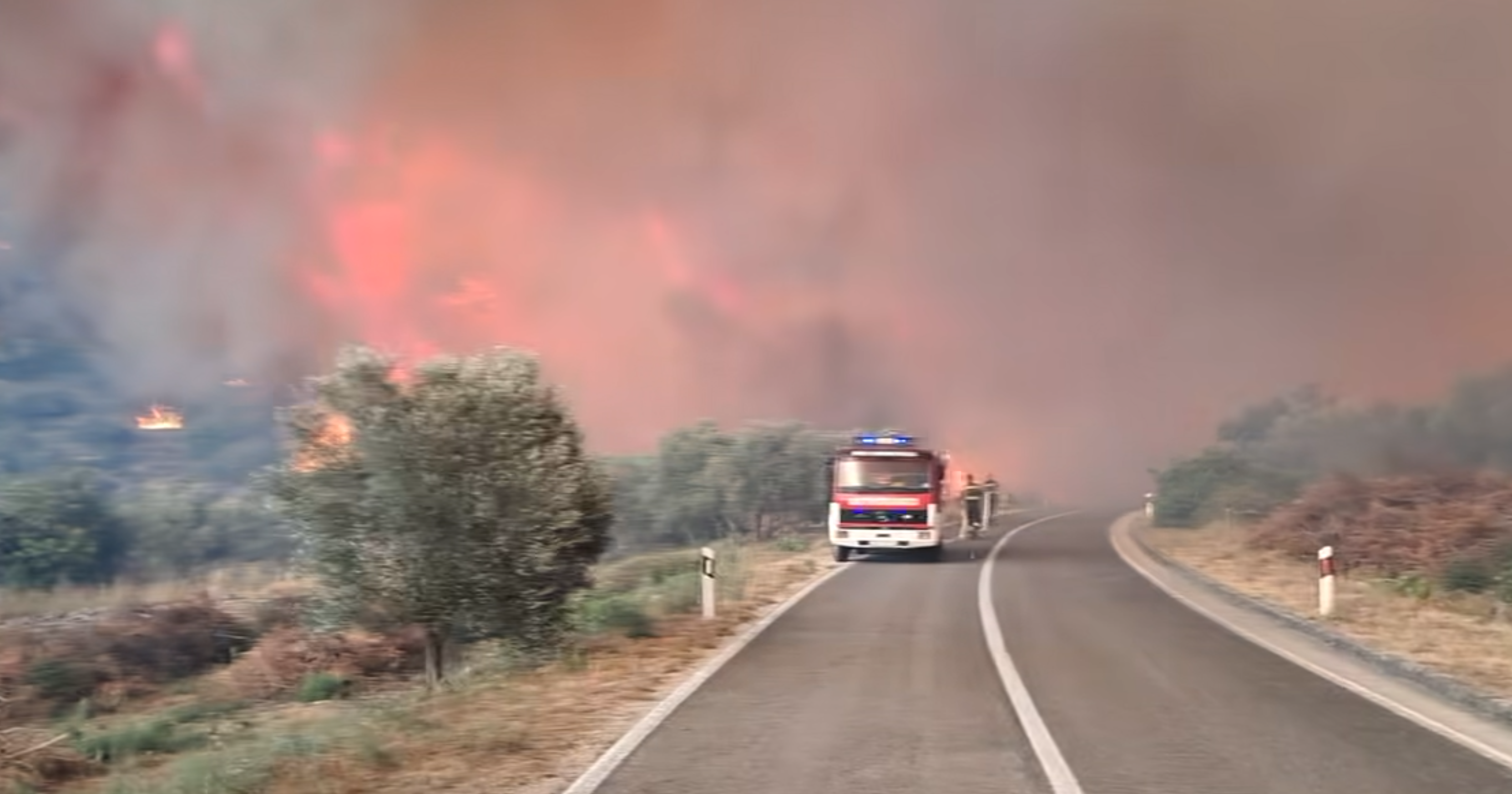 Screenshot N1/Facebook DVD Smokvica
