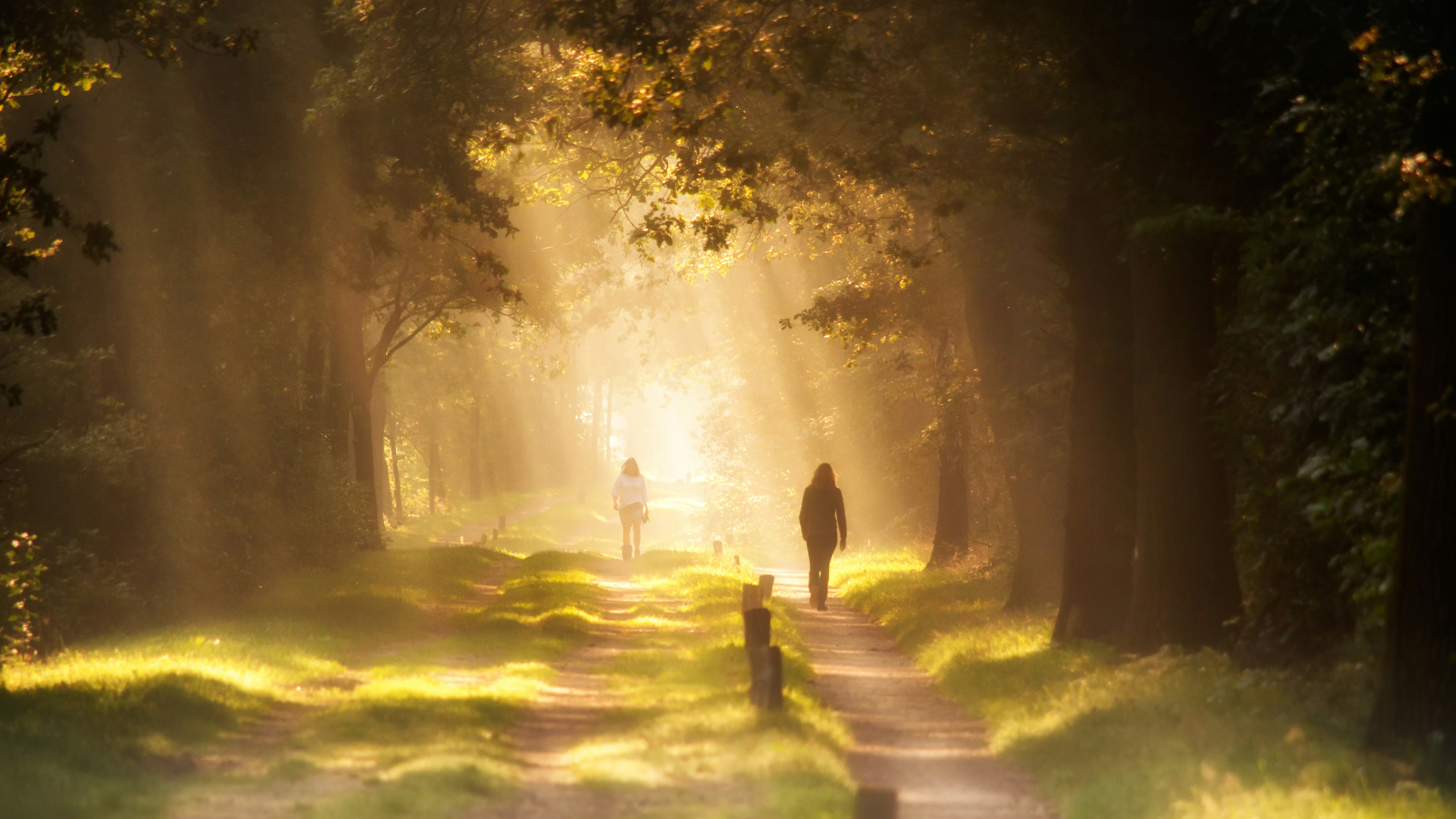 Jutro šetnja UNSPLASH