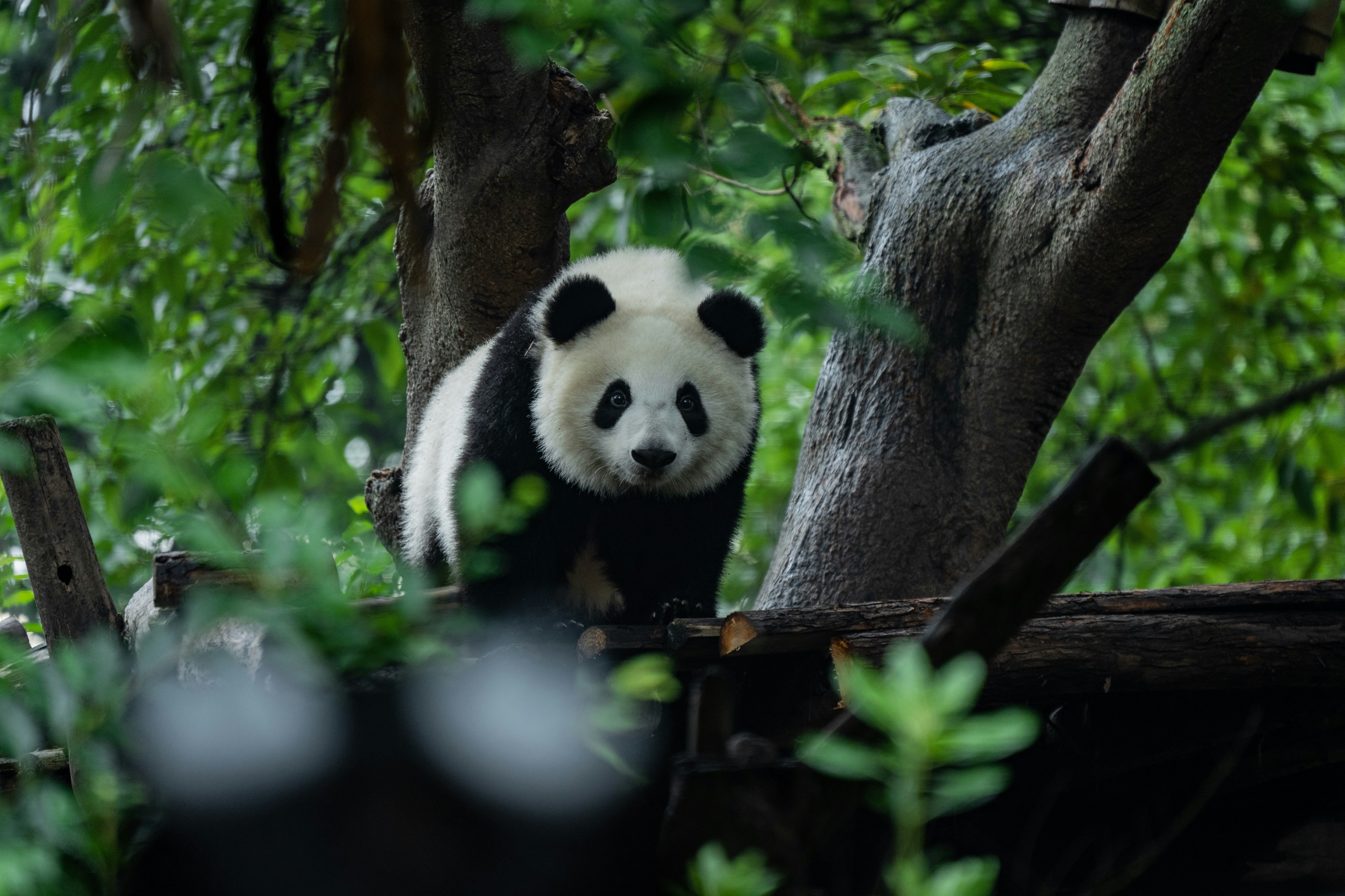 travis-chen-rbHAnOL5oto-unsplash
