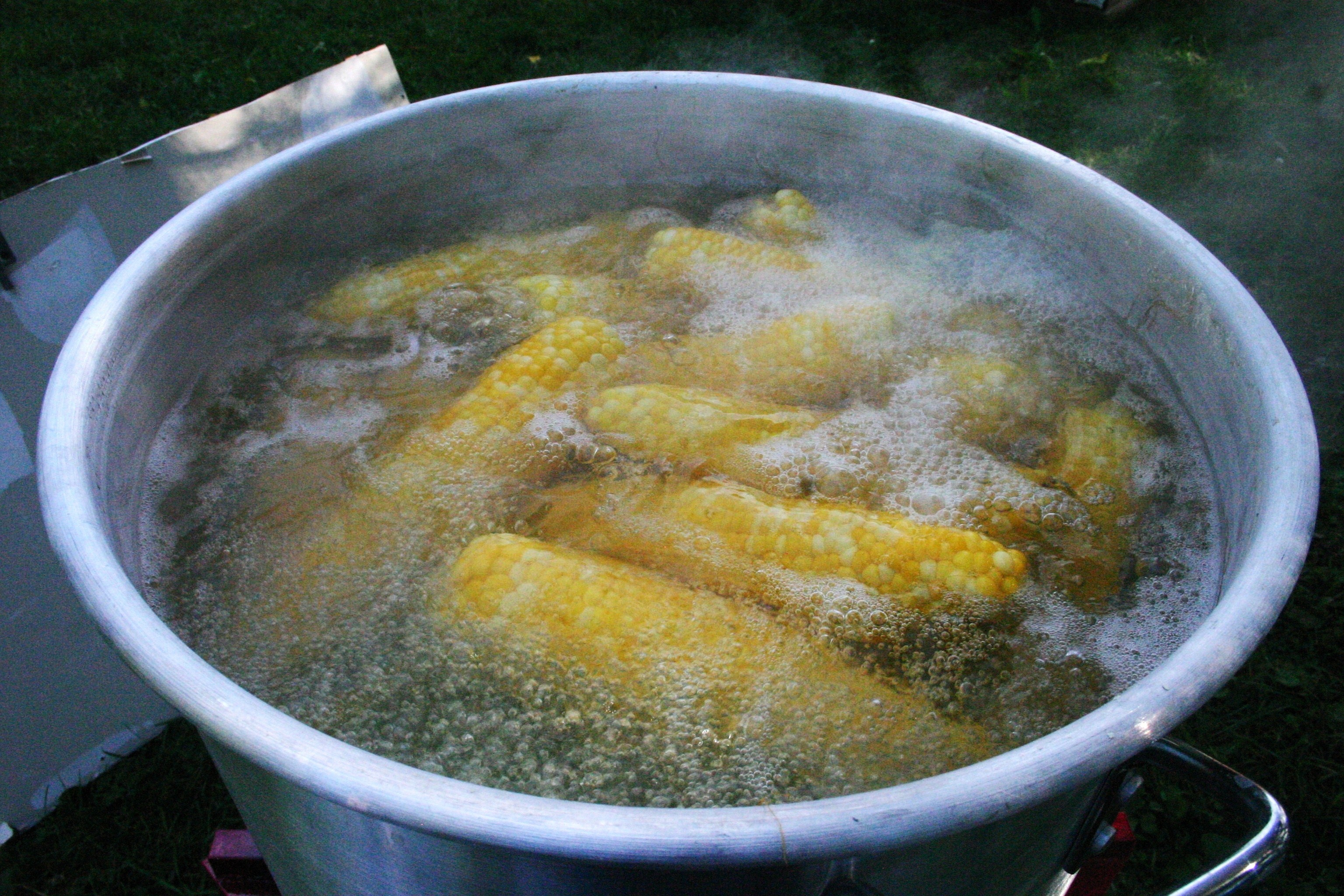 432231-corn-549328
