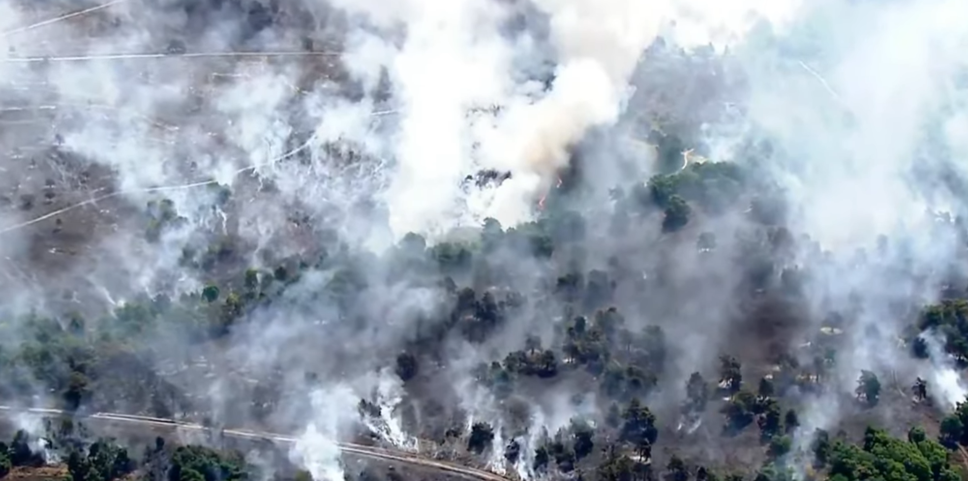 Screenshot SKY NEWS