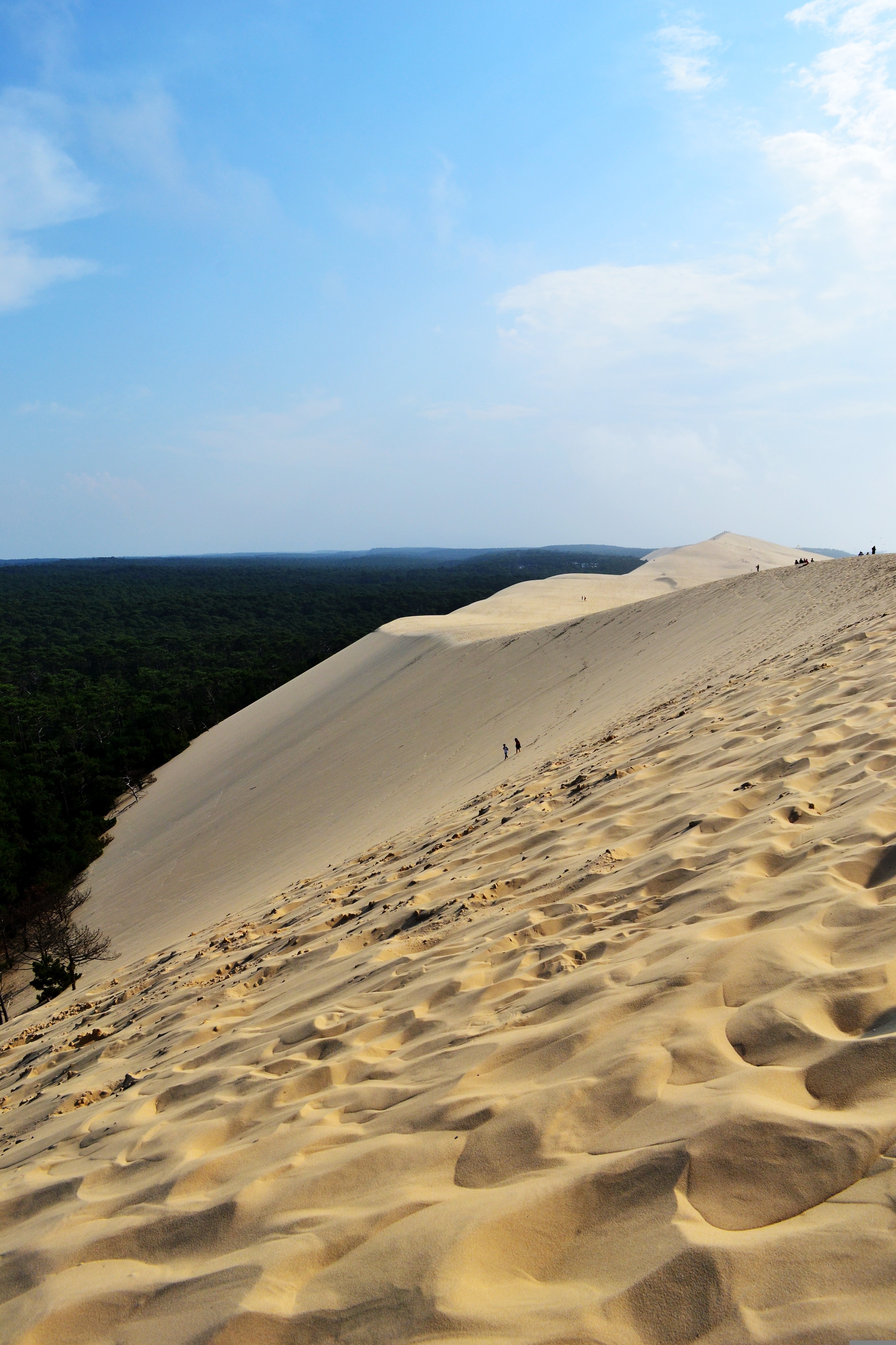 juliacasado1-dune-890214