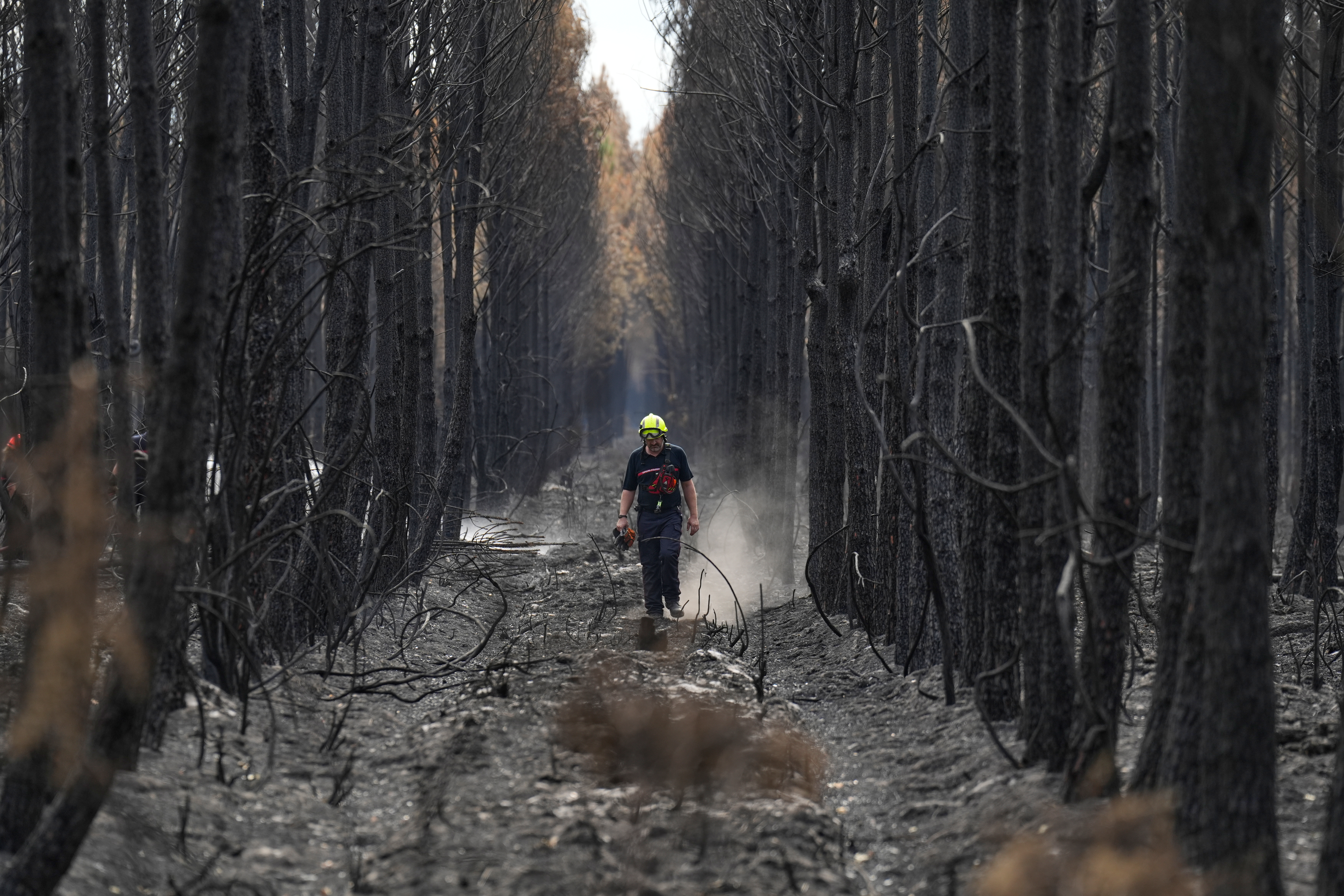 A firefighter walks through a charred forest near Blagon, during wildfires, southwestern France, Friday, July 31, 2026. (AP Photo/Baz Ratner)