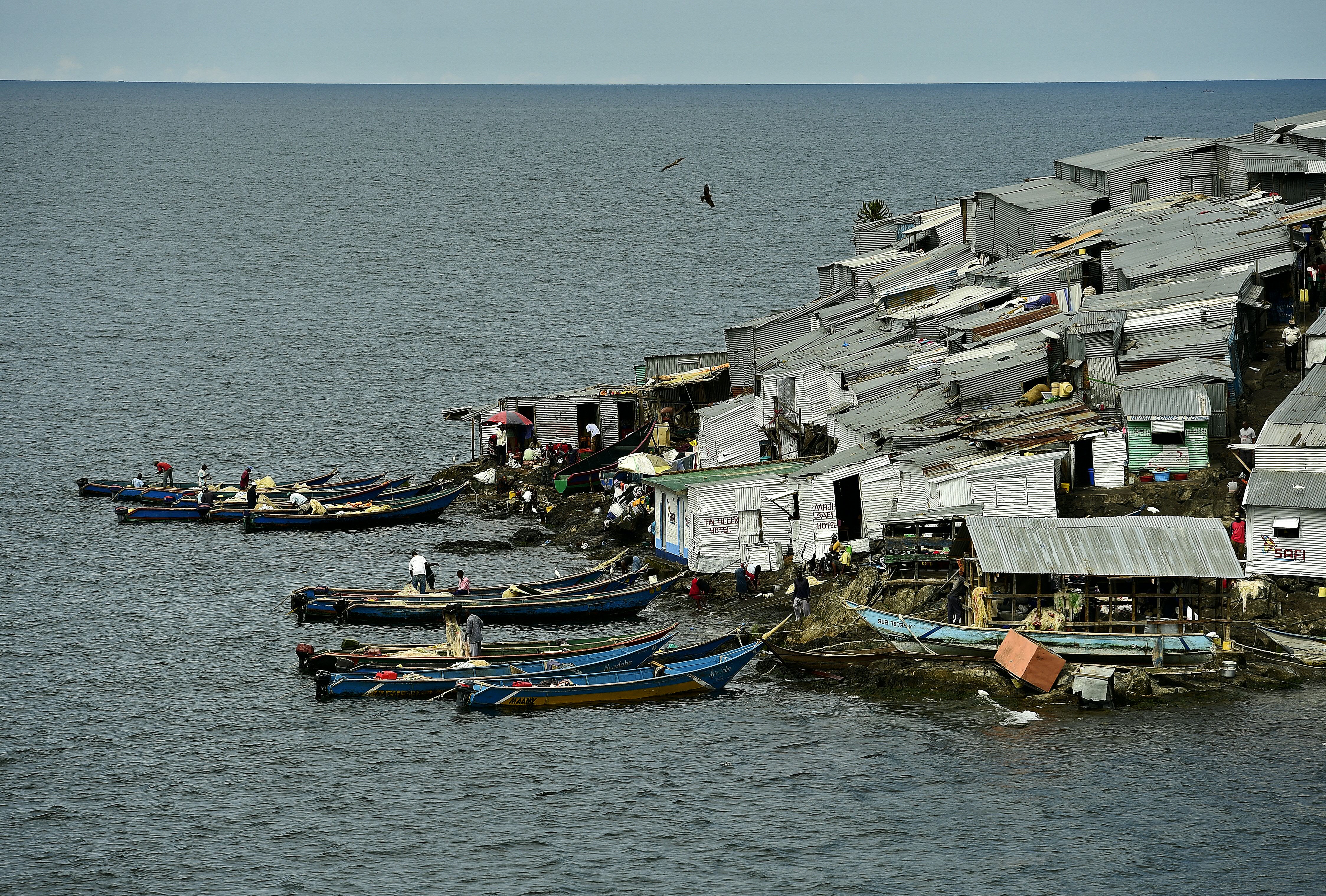 A picture taken on March 3, 2016 shows Migingo Island on Lake Victoria. (Photo by CARL DE SOUZA / AFP)