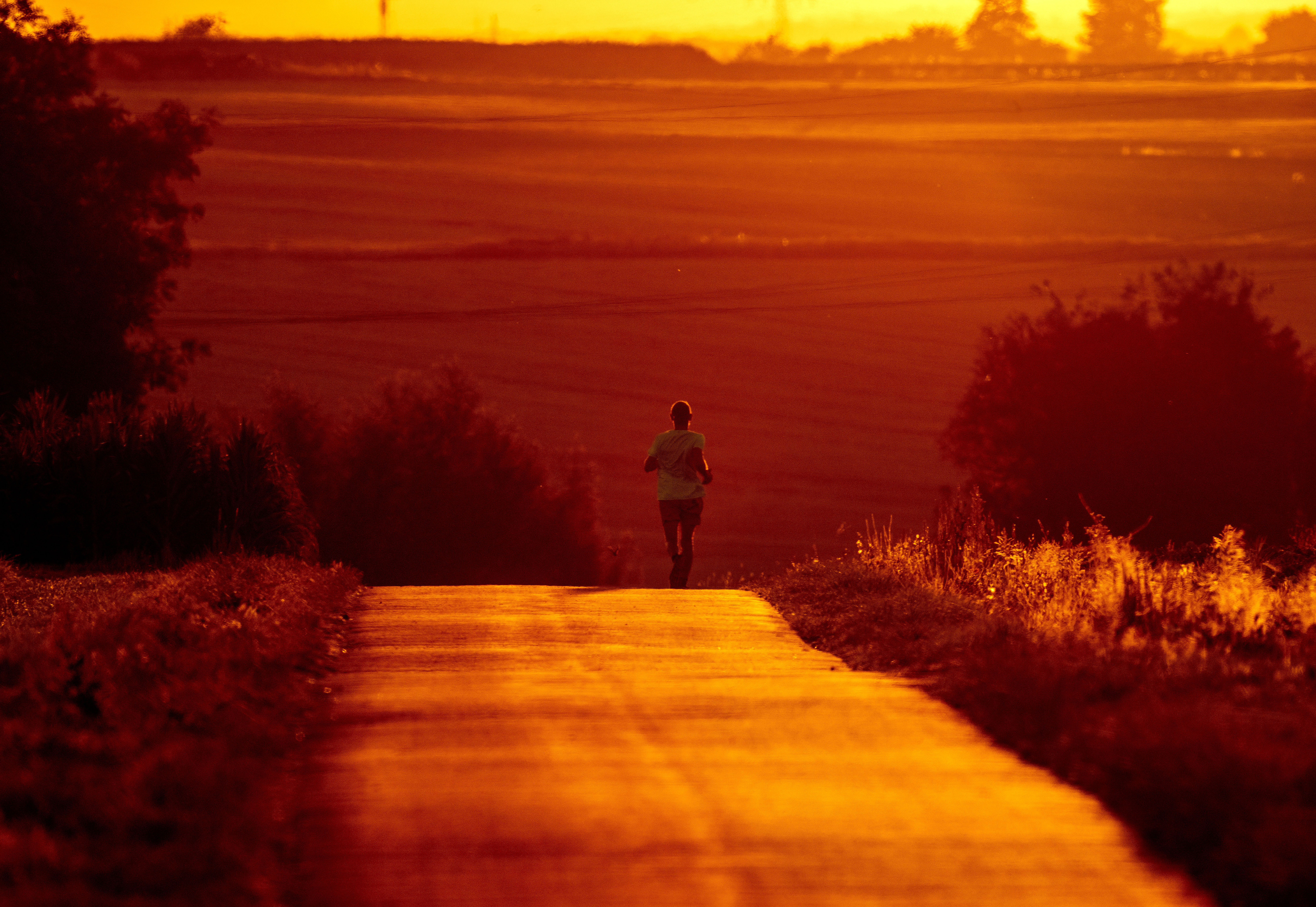 Small road in the outskirts of Frankfurt. (AP Photo/Michael Probst)