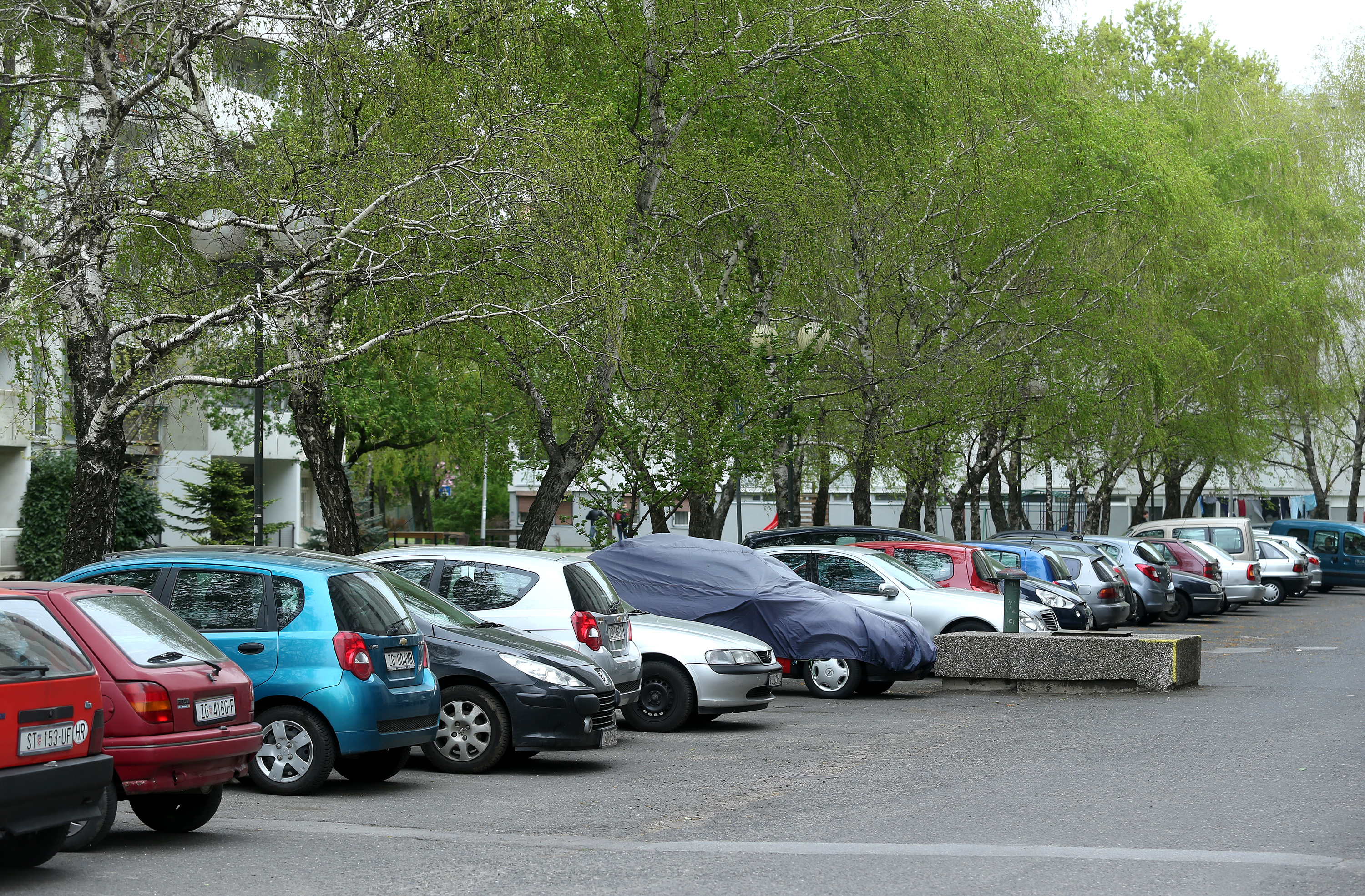 PXL_030414_7550580