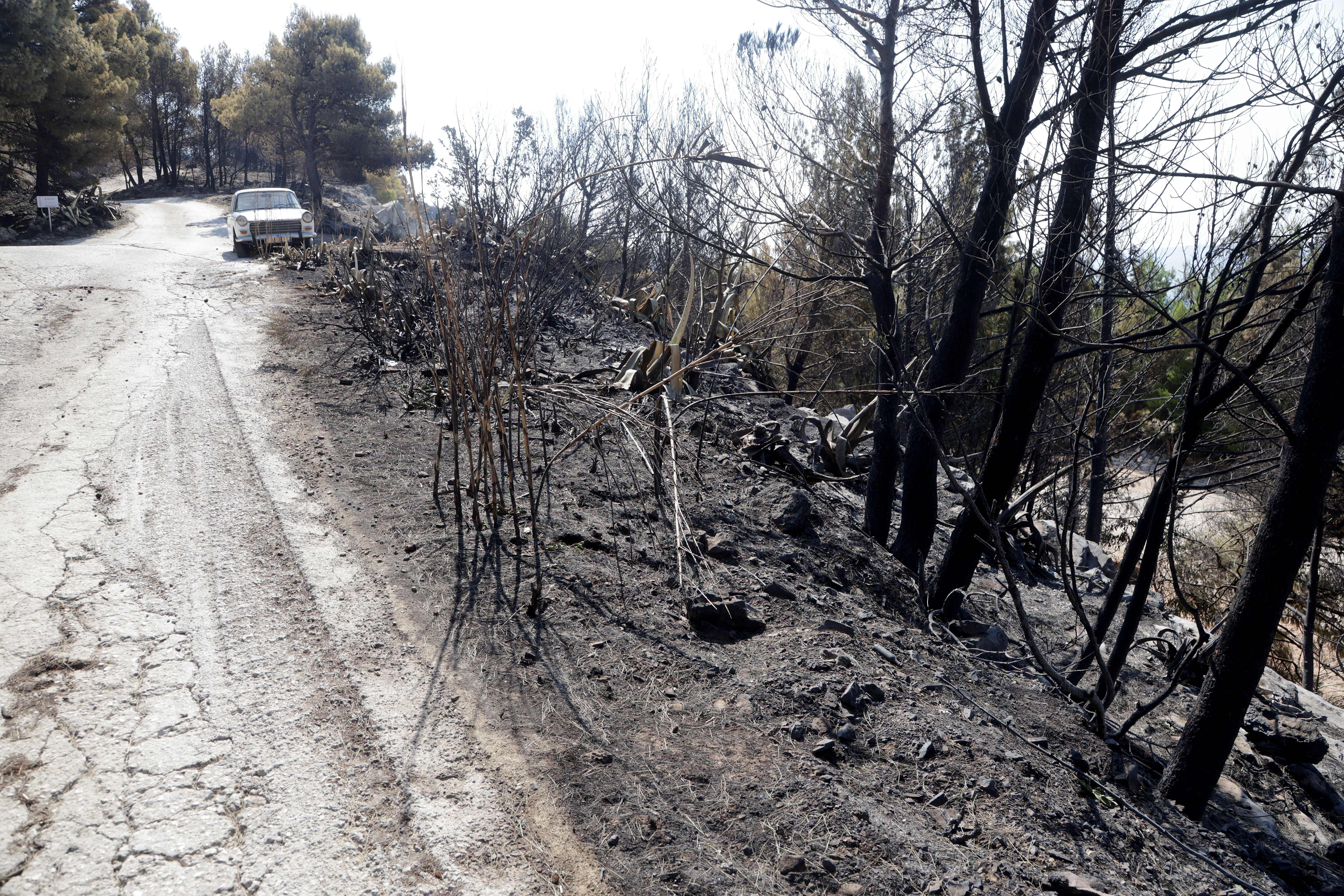PXL_160826_156782352