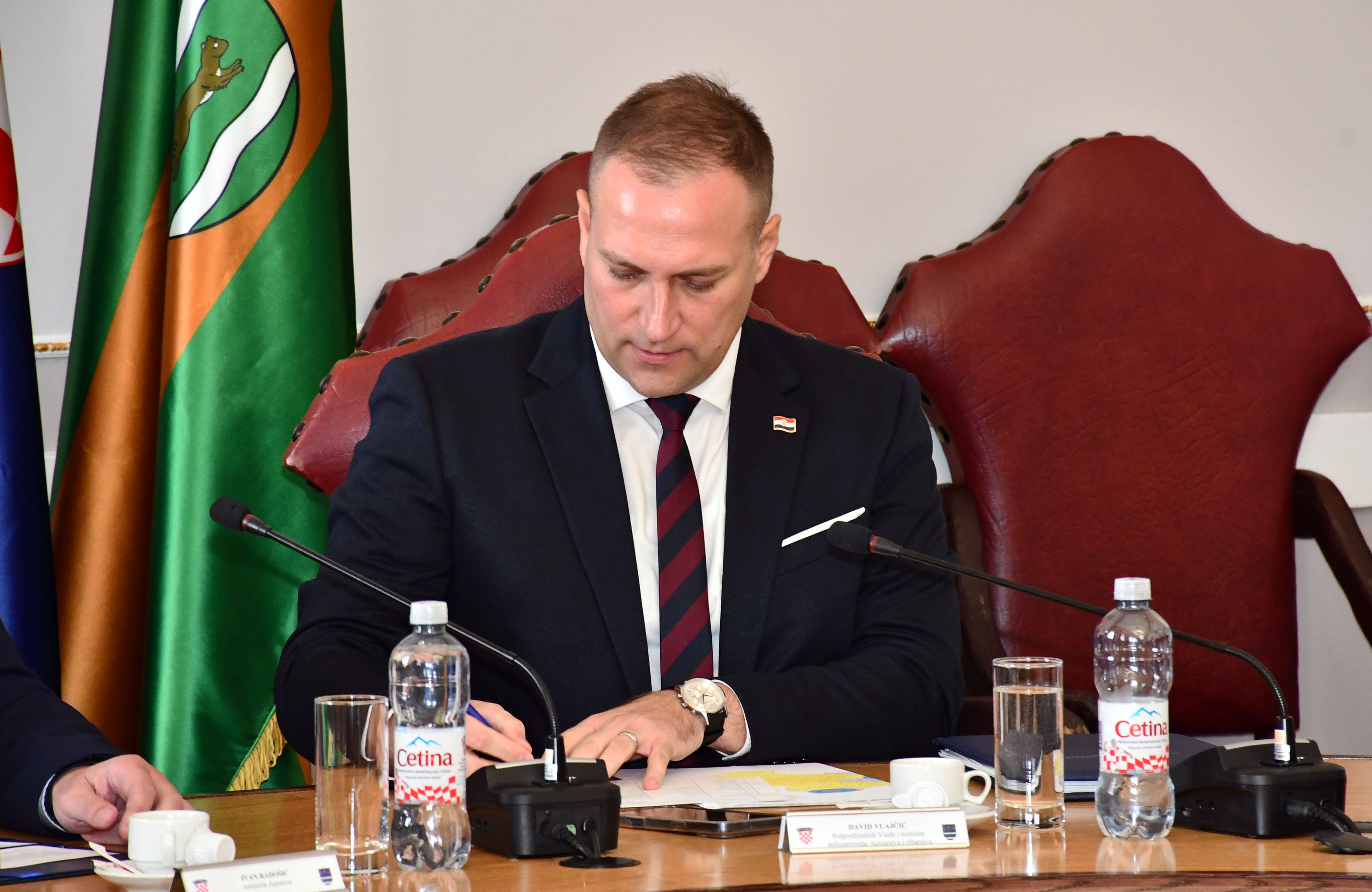 David Vlajčić