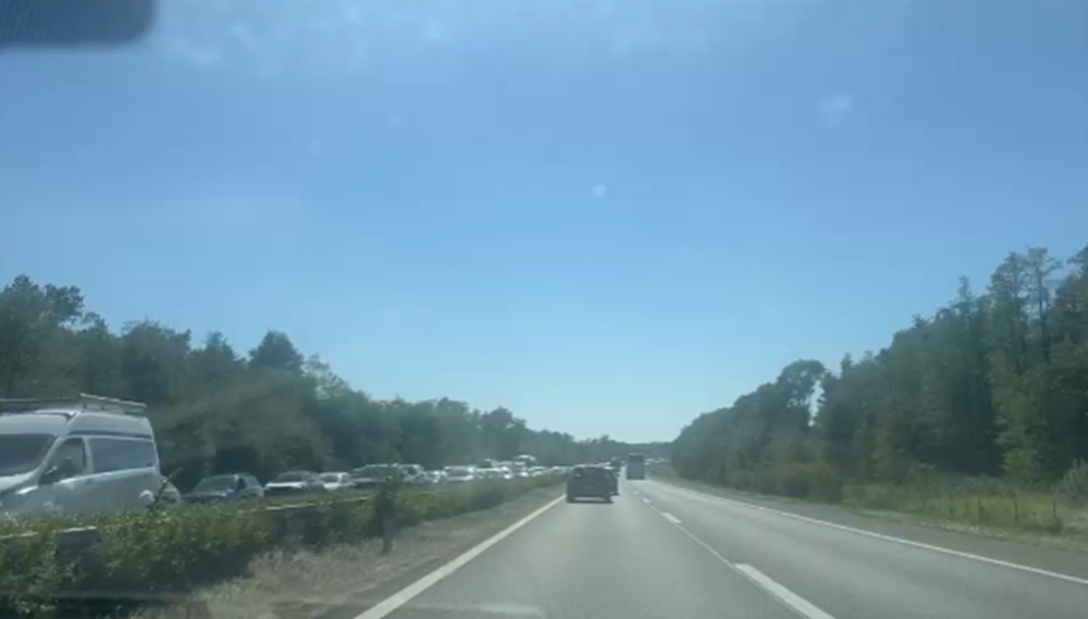 guzva na a1