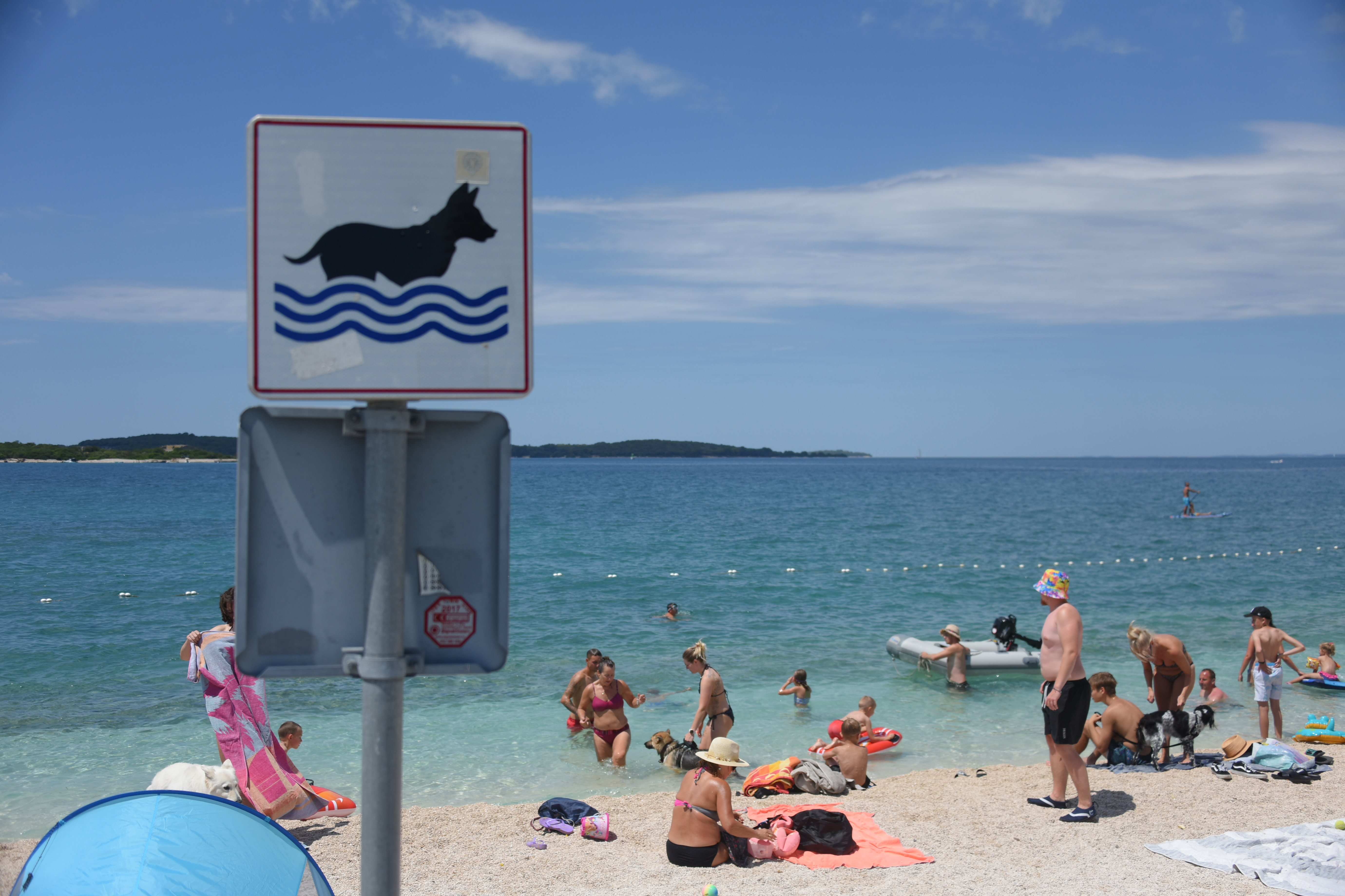 05.07.2023., Pula: Na pulskoj plazi Hidrobaza, otvoren je prvi beach bar za pse . Photo: Sasa Miljevic/PIXSELL