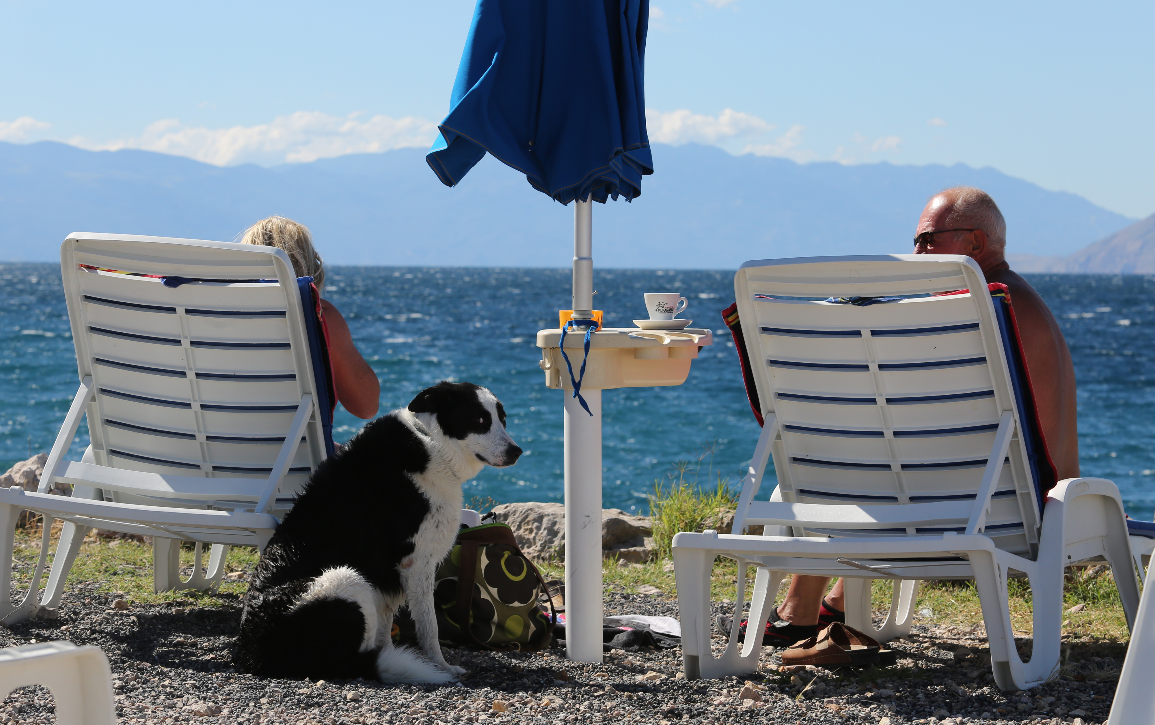 Crikvenička plaža za pse 23.06.2018., Crikvenica - Plaza za pse. rrPhoto: Goran Kovacic/PIXSELL