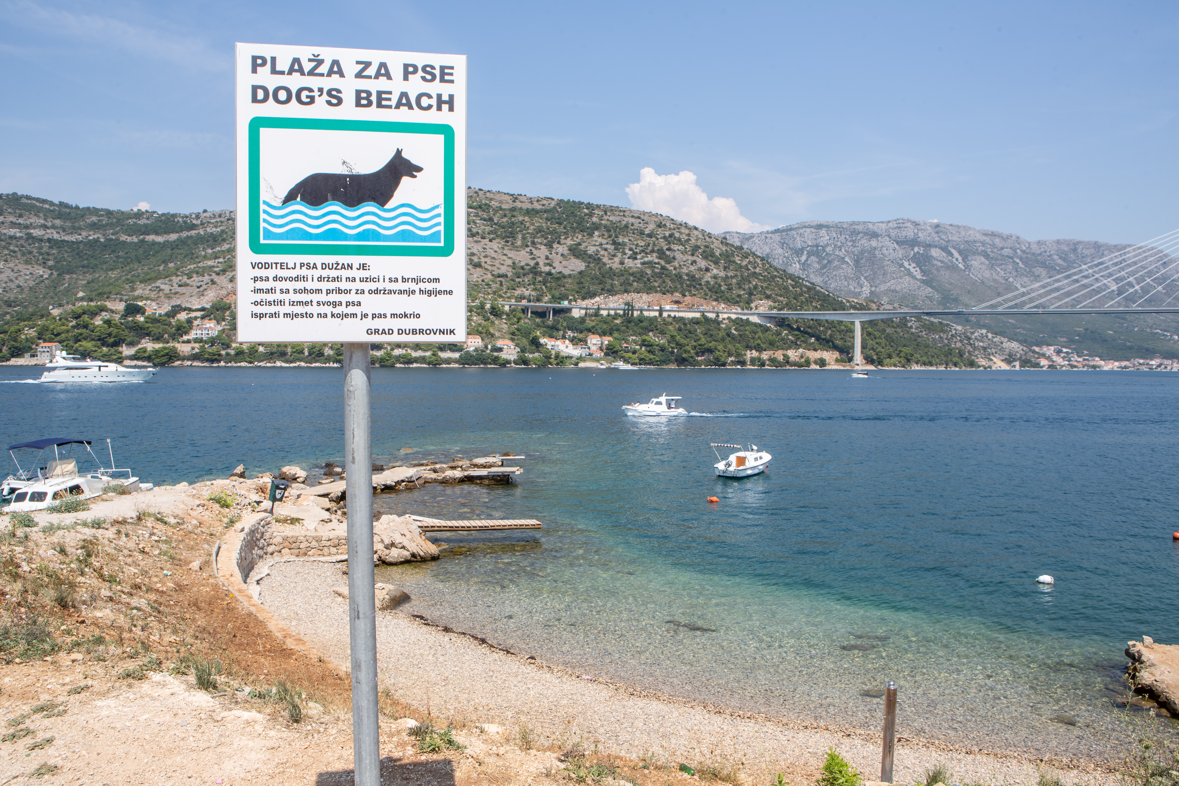 Dubrovnik: Plaža za pse na Babinom kuku 08.08.2018., Dubrovnik - Plaza za pse na Babinom kuku.rPhoto: Grgo Jelavic/PIXSELL
