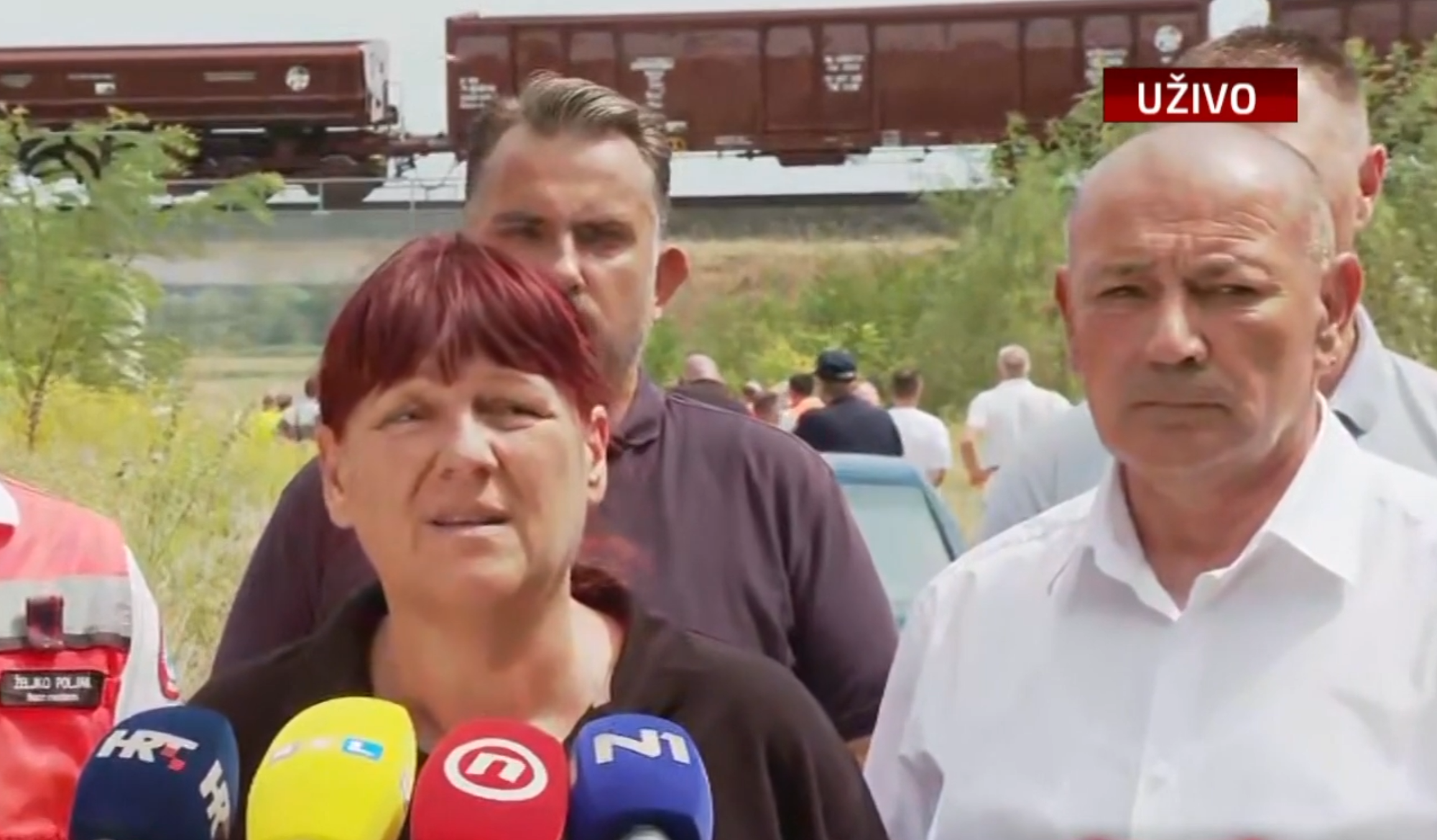 Screenshot N1