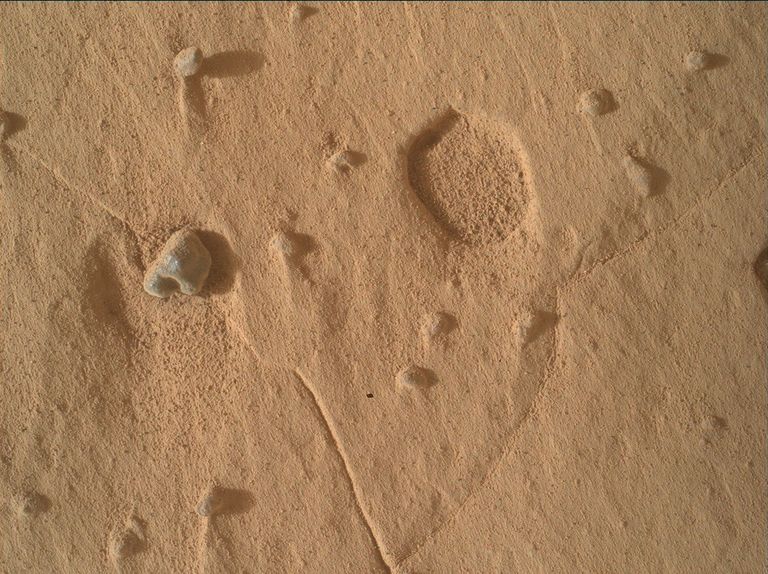 nasa