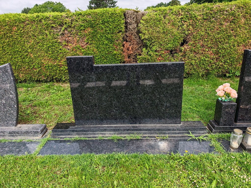 Murs-Ekom-Americki-Stil-3.jpg
