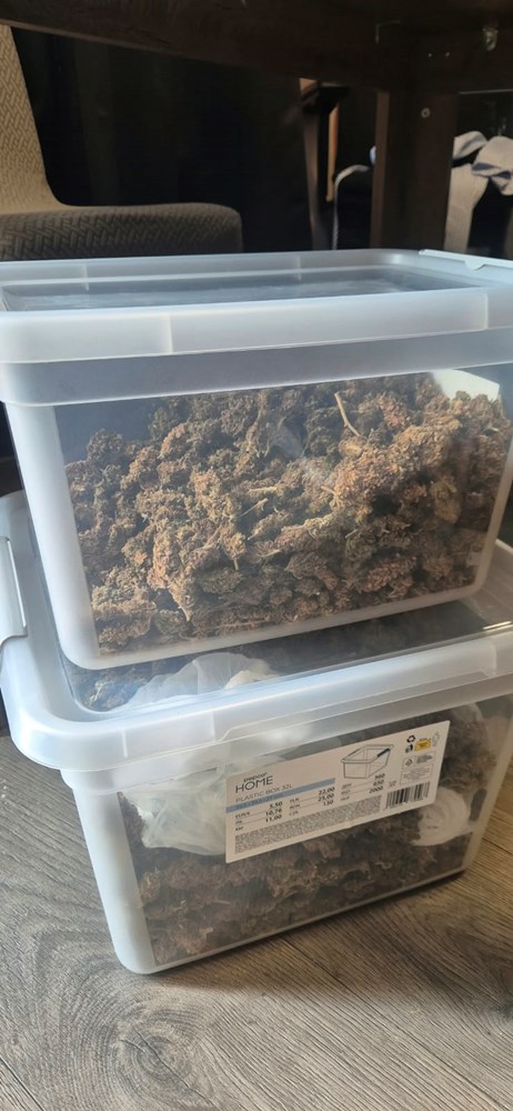 marihuana1