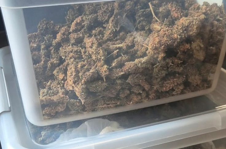 marihuana1
