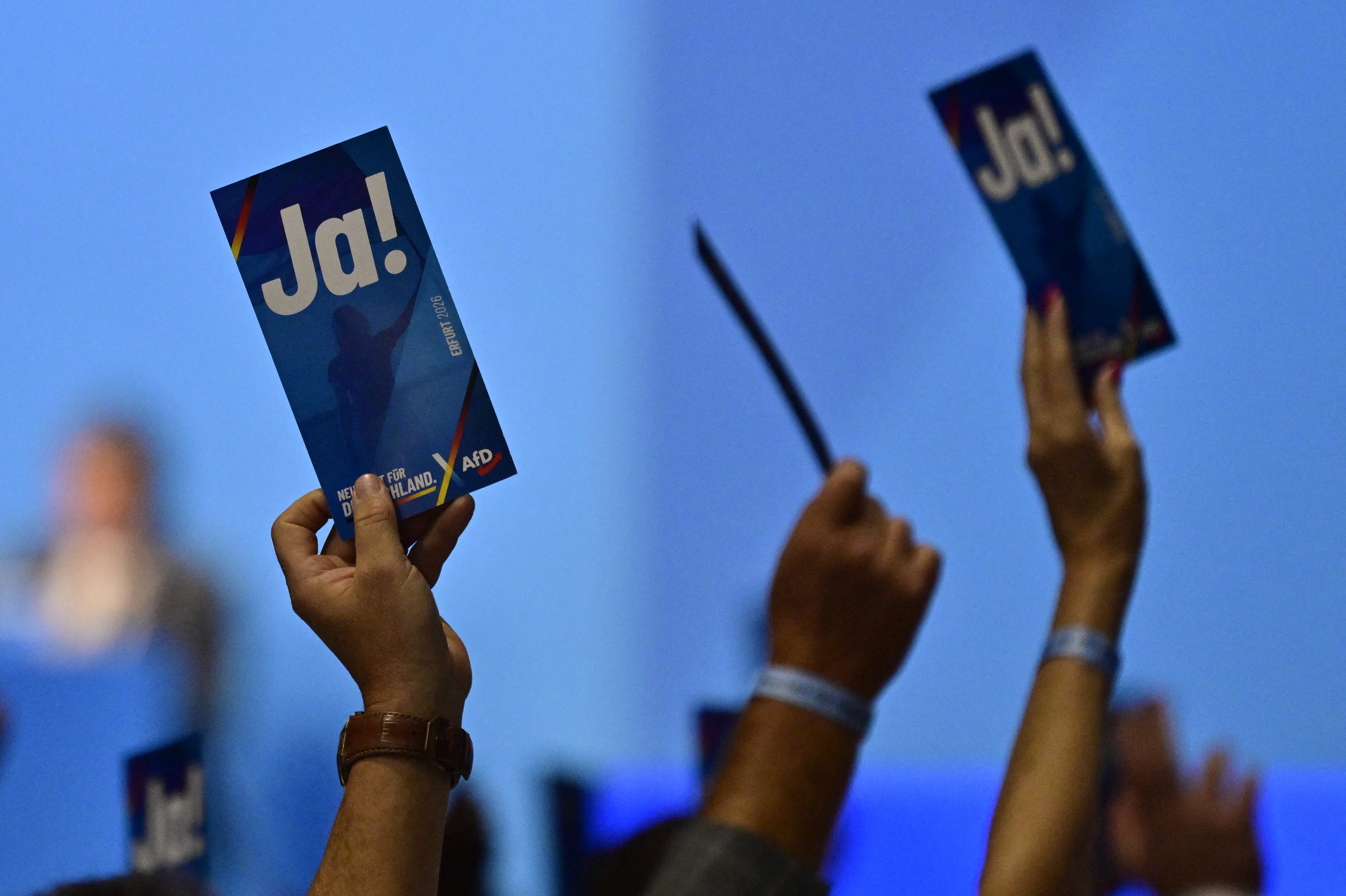 Delegates hold up 'Yes' voting cards on the second day of the party congress of far-right Alternative for Germany (AfD) at the Messe Erfurt fairground in Erfurt, eastern Germany on July 5, 2026. (Photo by John MACDOUGALL / AFP)